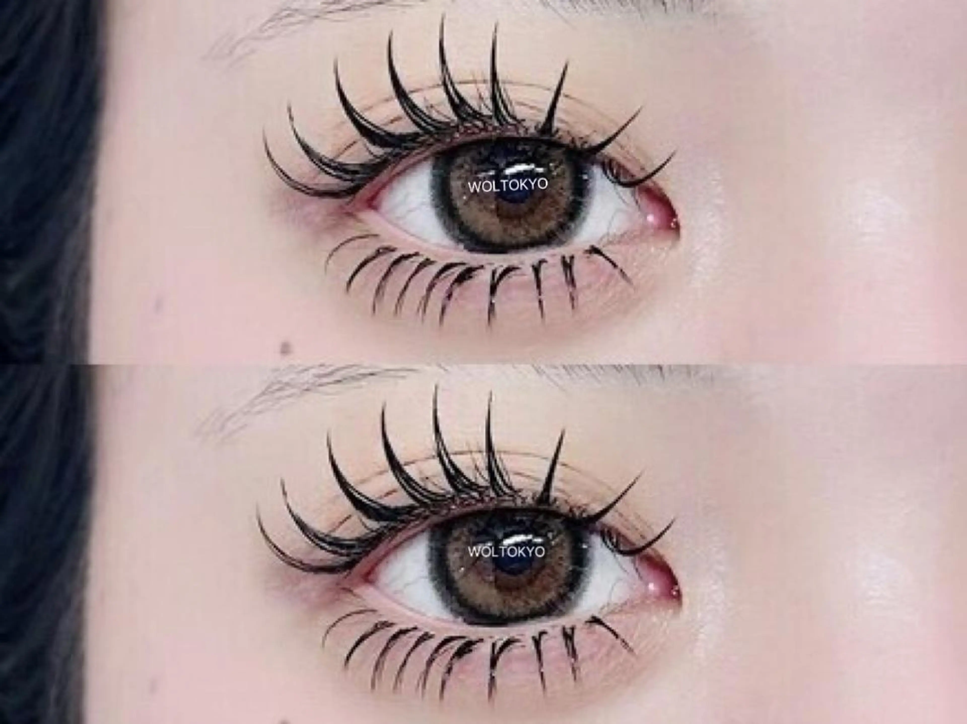 マツエク上下✨セーブル／フラットラッシュ✨上100本/下40本の写真