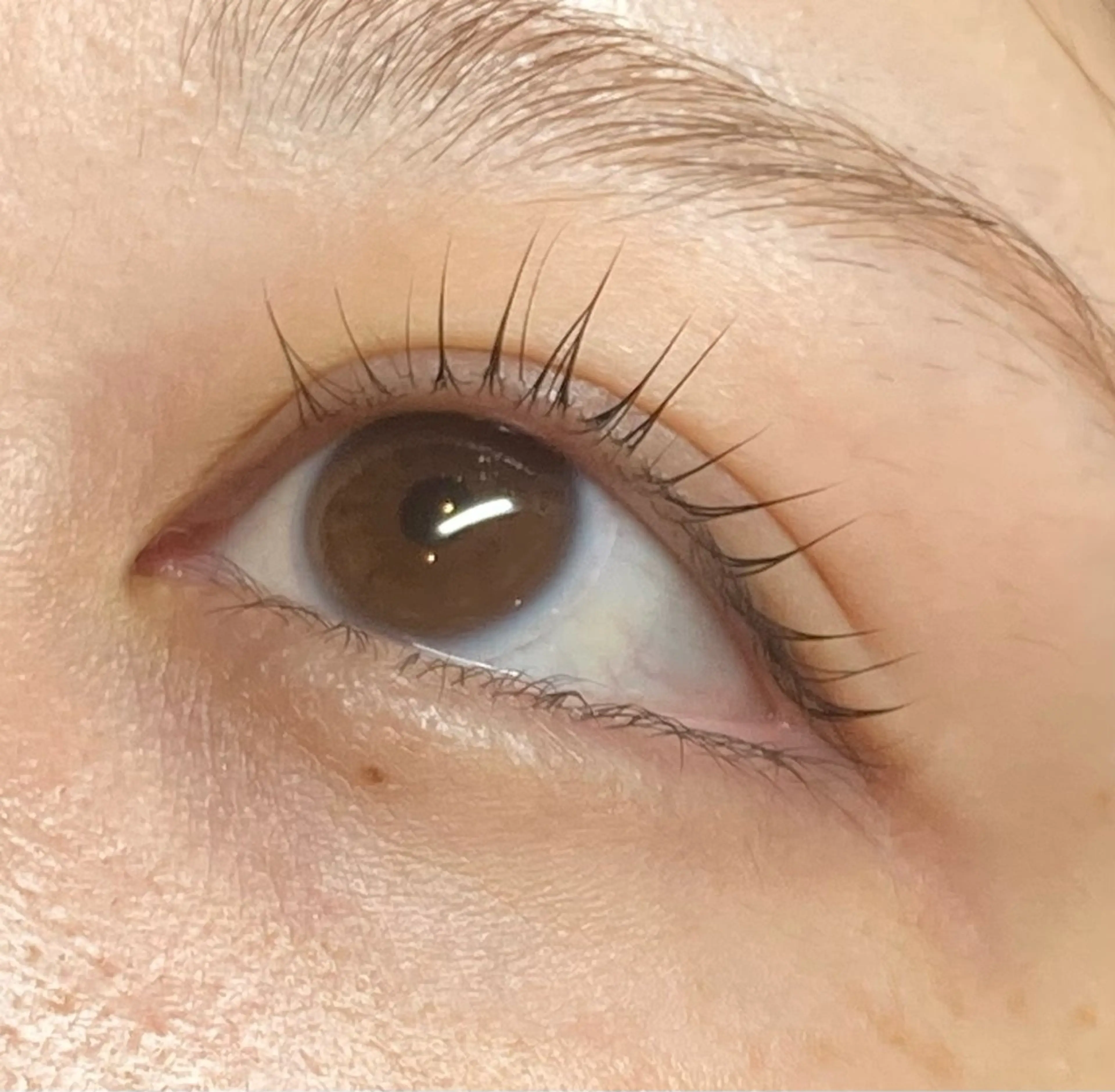 マツエク・マツパ 一重×まつ毛パーマ Armeria Eyelash & Nail所属・中島 夕菜のマツエク・マツパデザイン