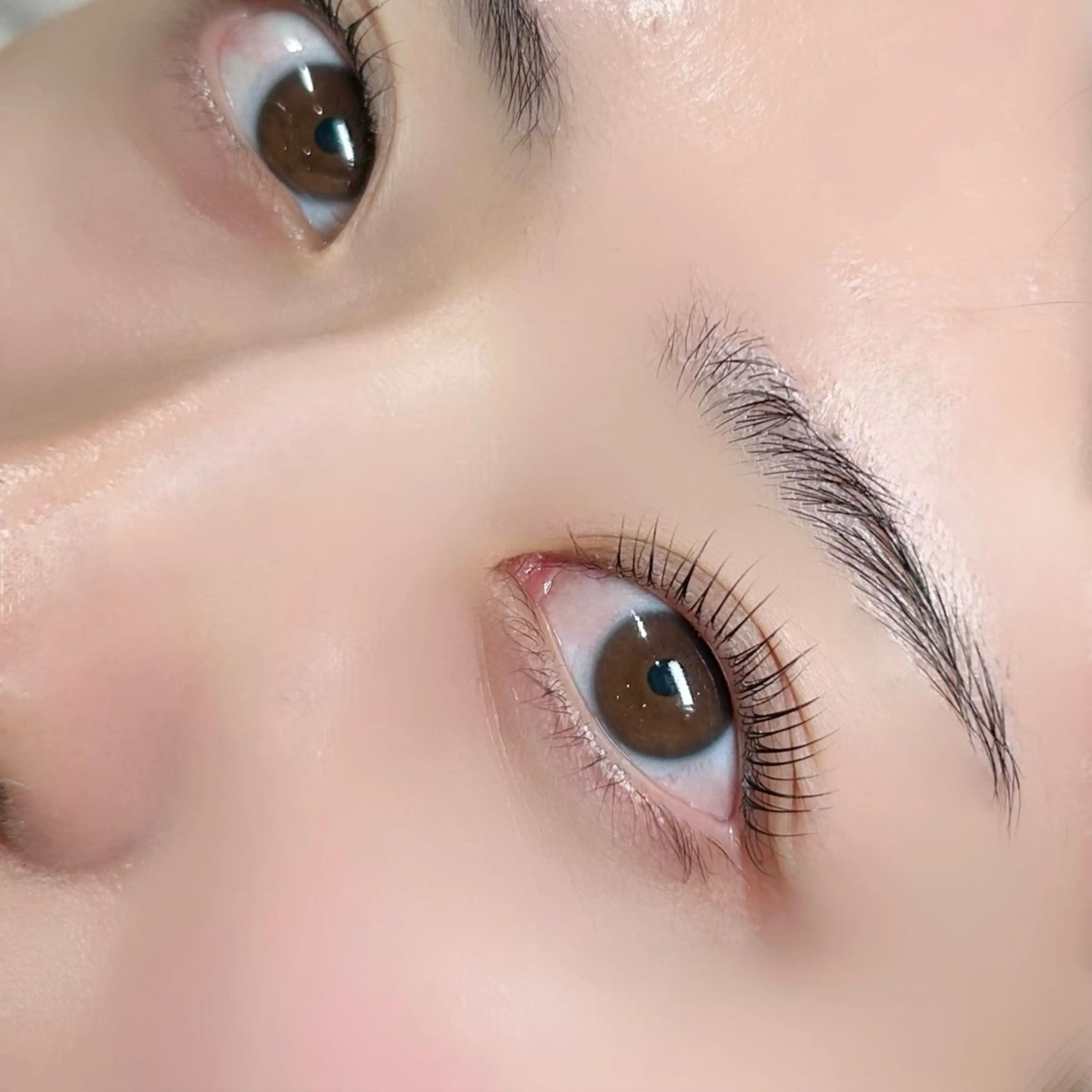 【ご新規様🫧】パリジェンヌラッシュ トリートメント付✨の写真