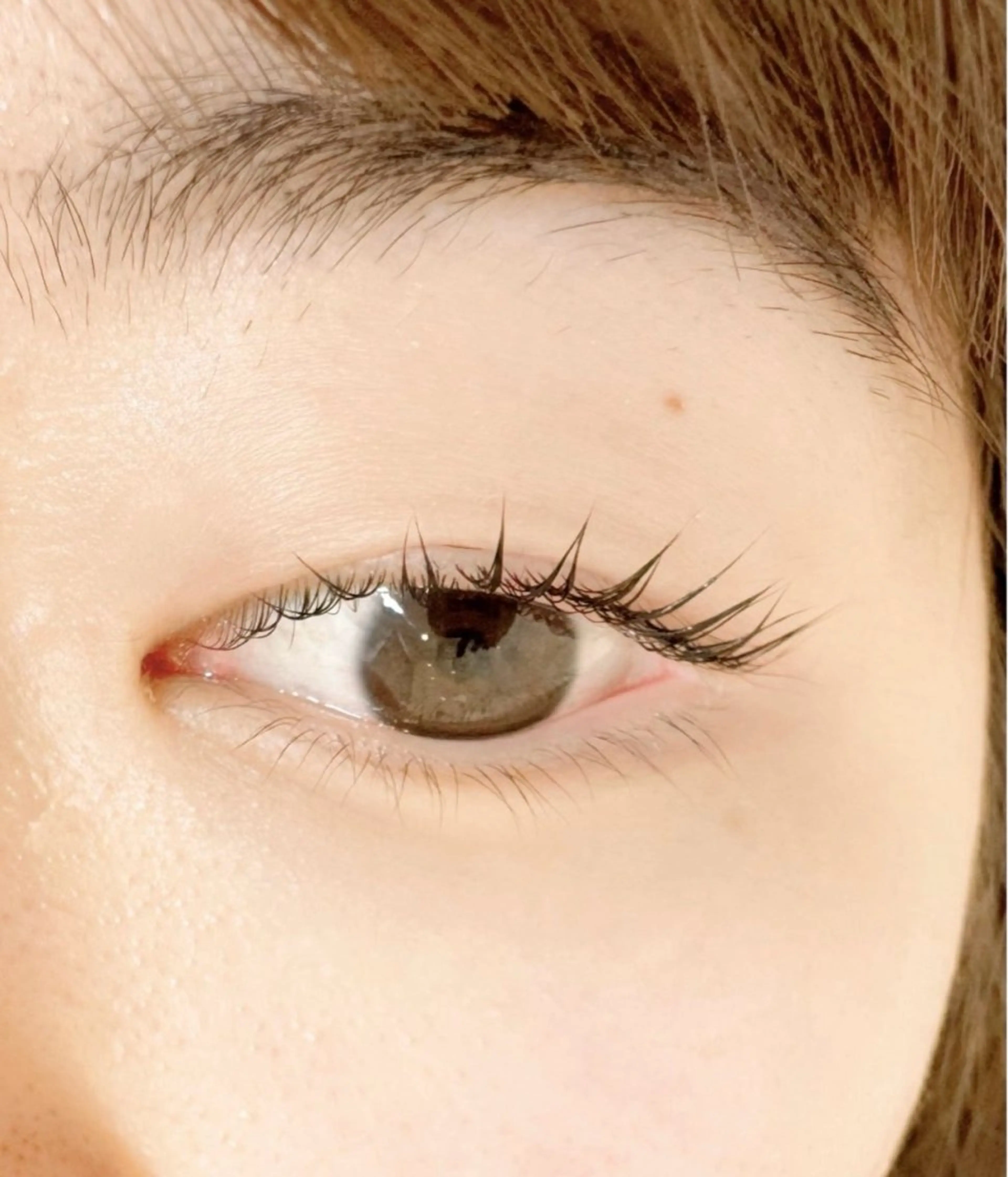 マツエク・マツパ 🧸Lily船橋 石川🌿‬のマツエク・マツパデザイン