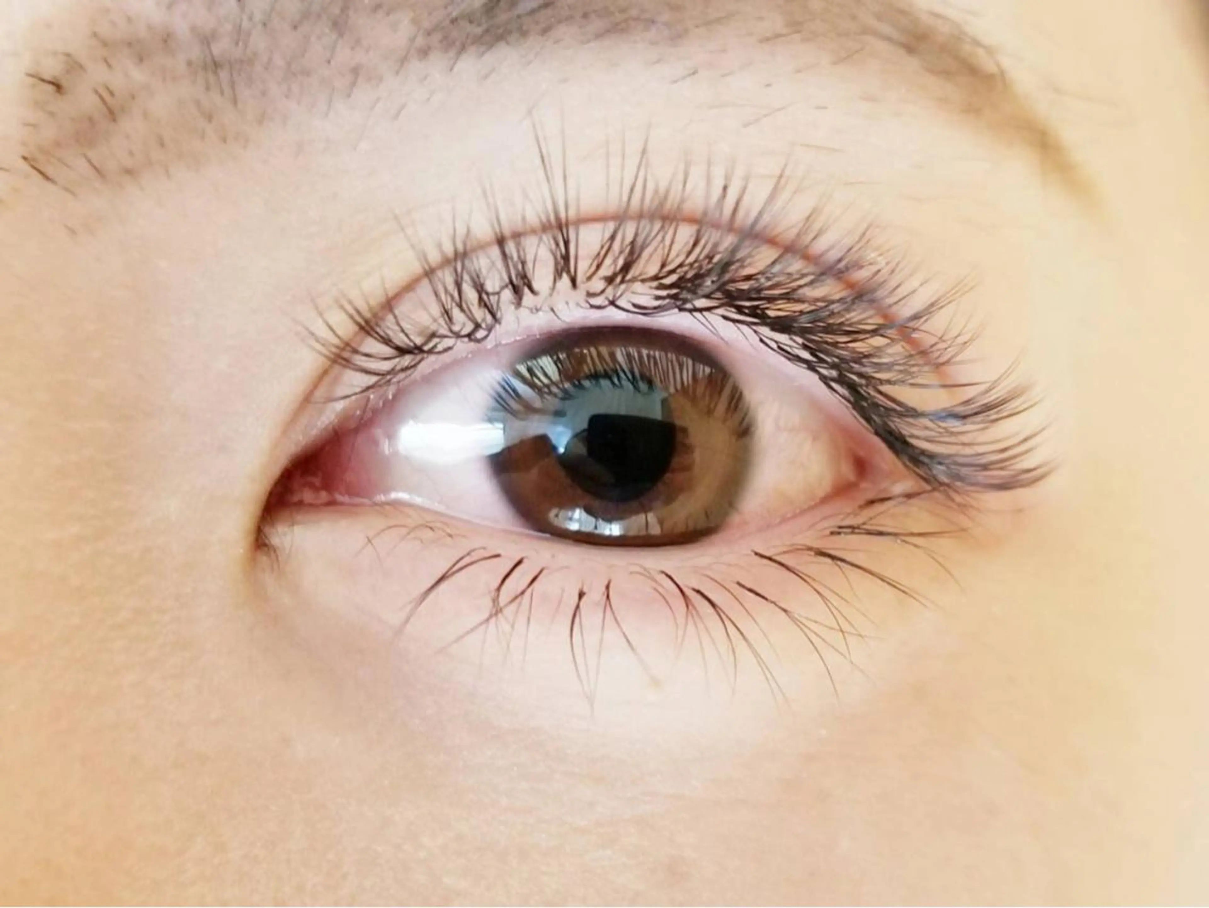 マツエク・マツパ ジュニア　アイリスト ネイリストの眉毛・アイブロウイメージ