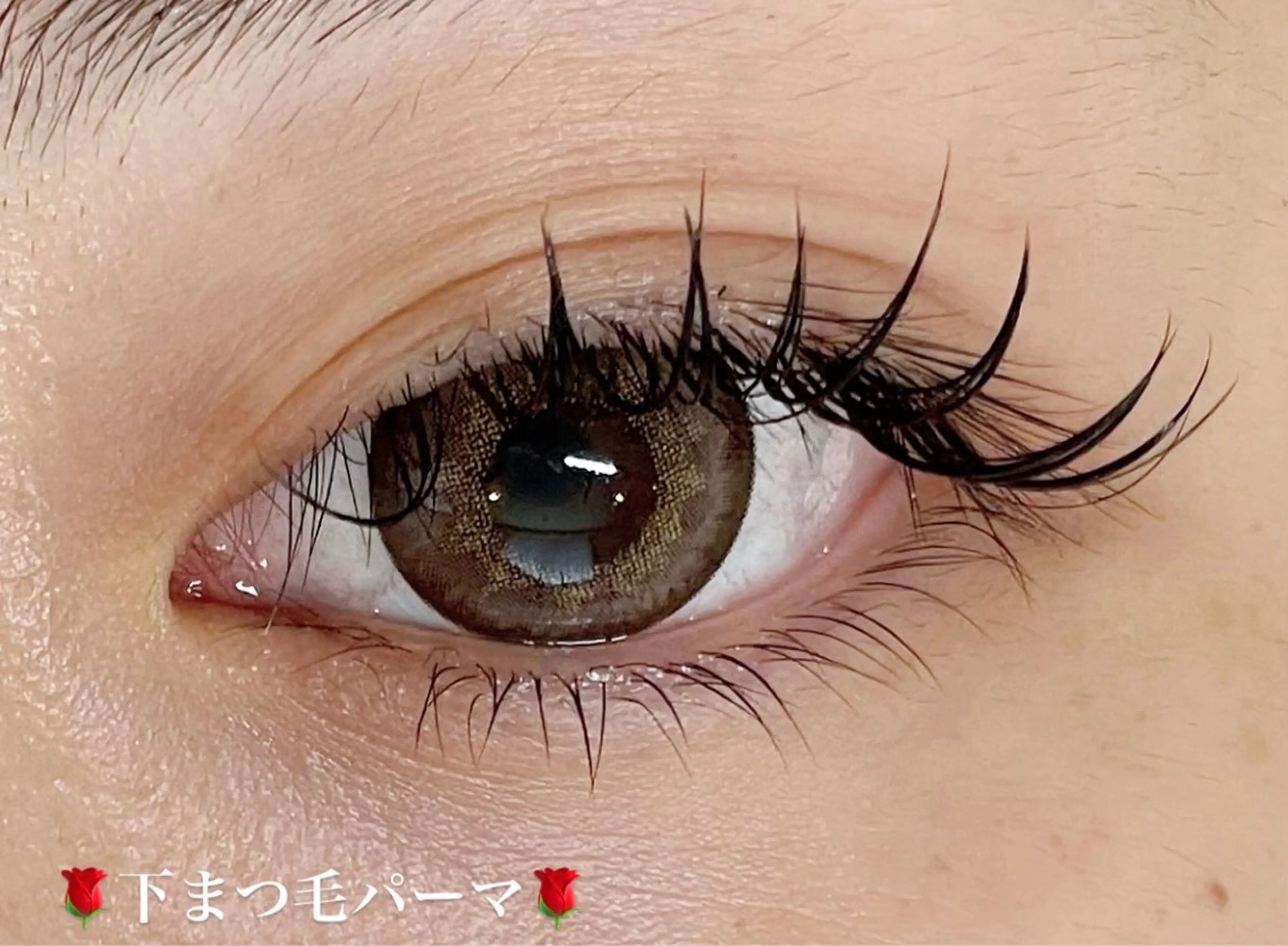 マツエク・マツパ Butterfly 平塚店　中島のマツエク・マツパデザイン