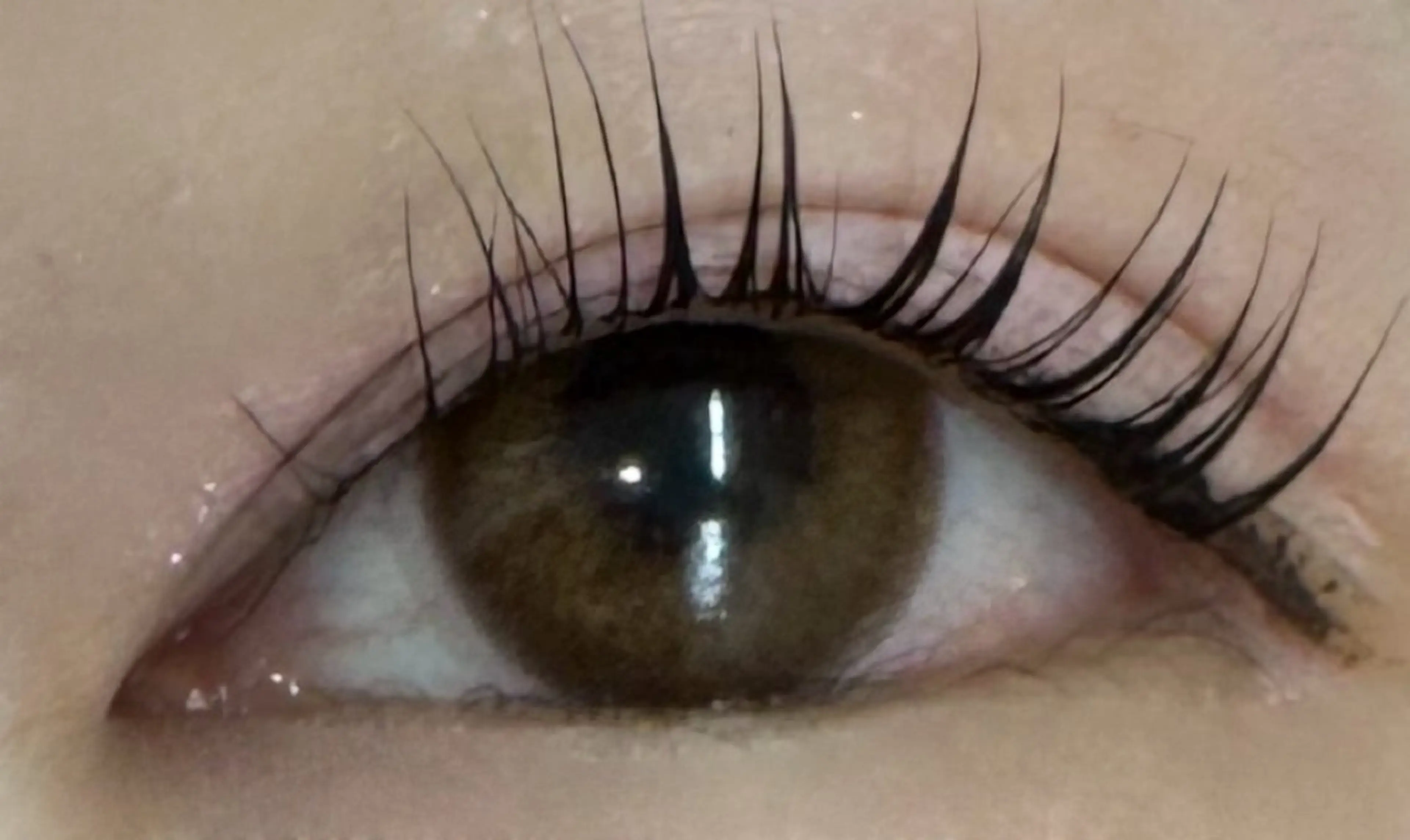 マツエク・マツパ パリジェンヌラッシュリフト 一重×まつ毛パーマ KANGOL BEAUTY SALON Eyelash アルカキット錦糸町店所属・板谷 弥生のマツエク・マツパデザイン