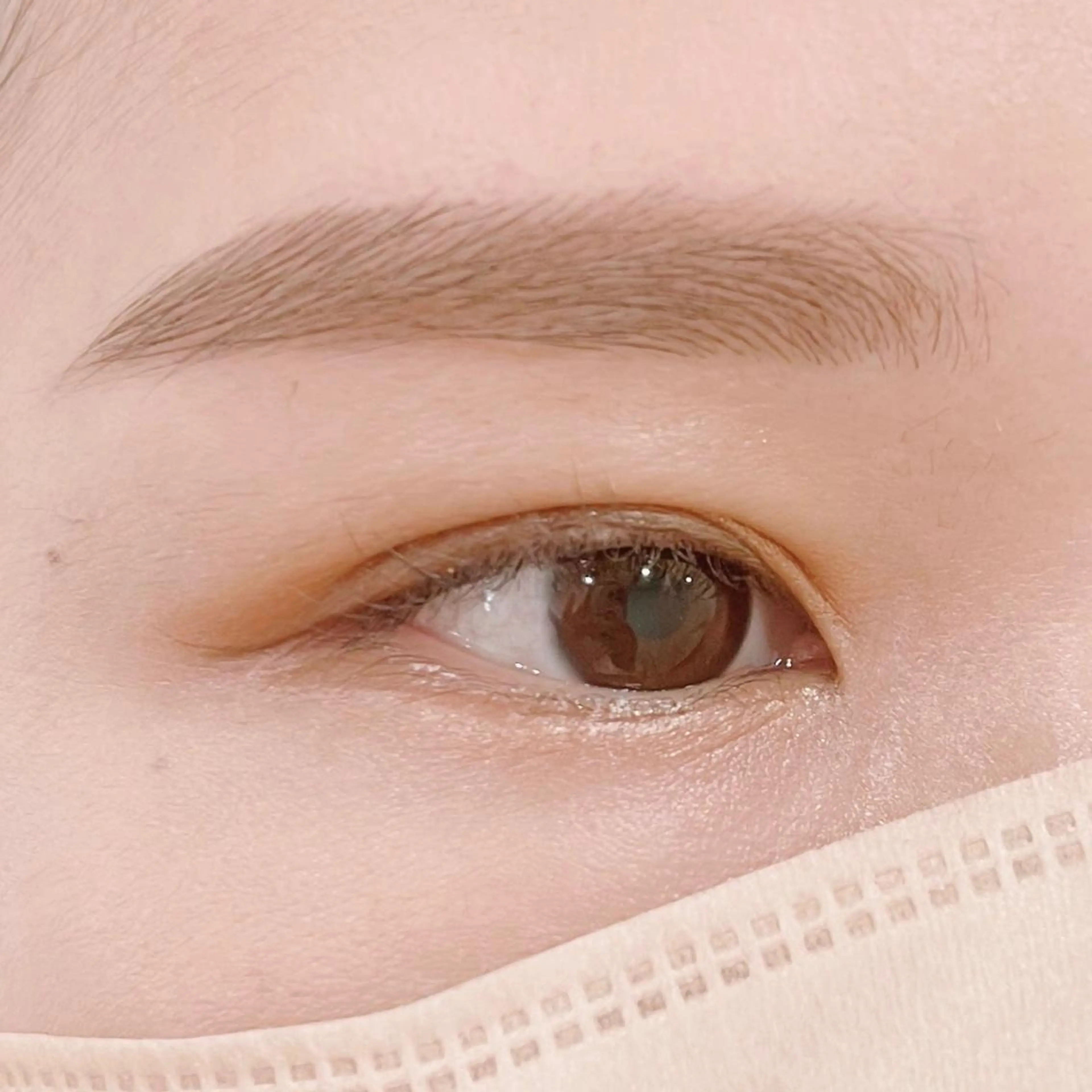 🎀【平日】美眉スタイリング/眉ワックス脱毛/間引き付き 𖤐メンズの方も◎ ※当店のご利用が初めての方のみ ❤︎の写真