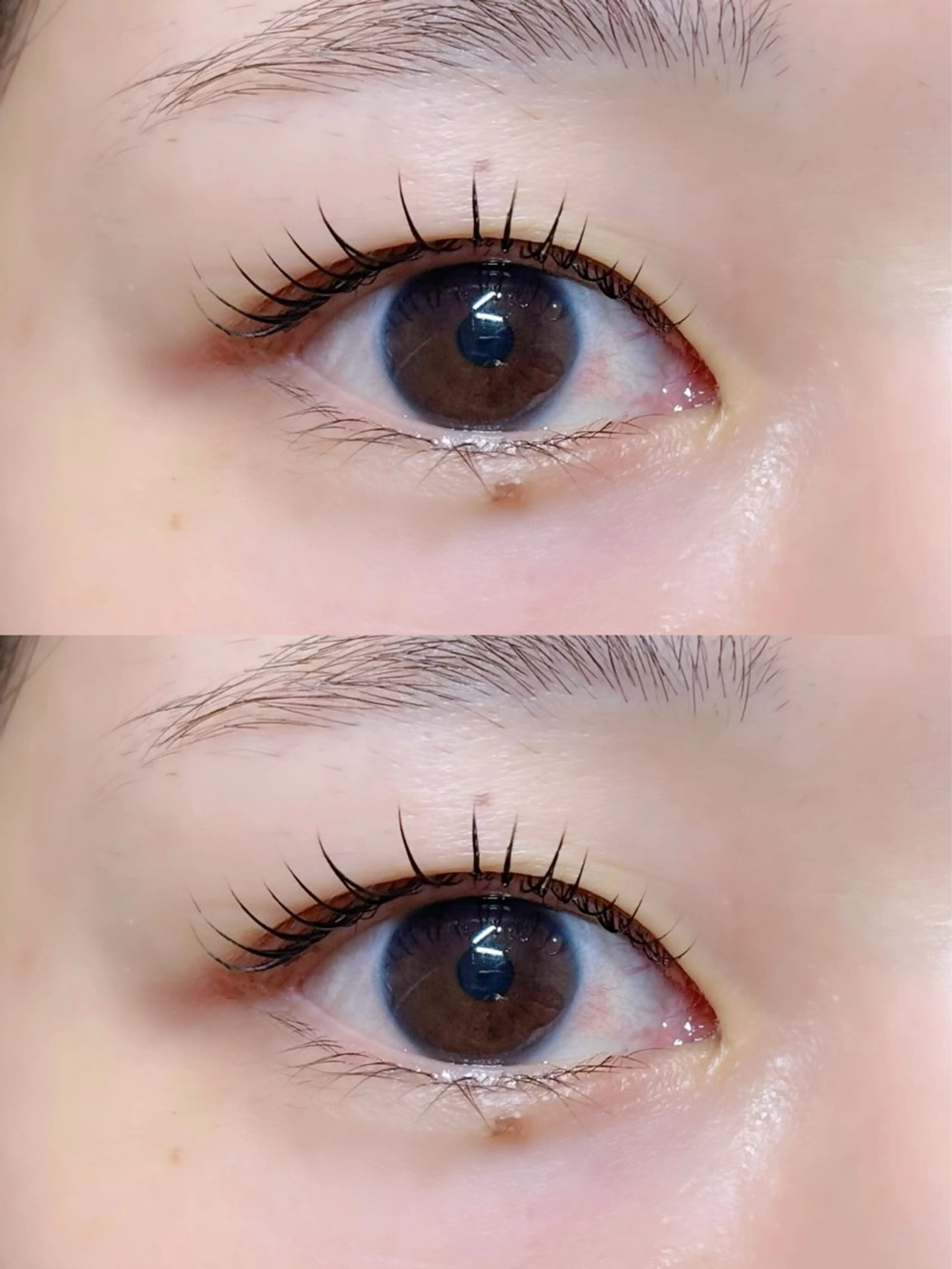 ãããšã¯ã»ããã ããã ðð¢ð ð¡ð yuzukið«§ã®ãããšã¯ã»ããããã¶ã€ã³