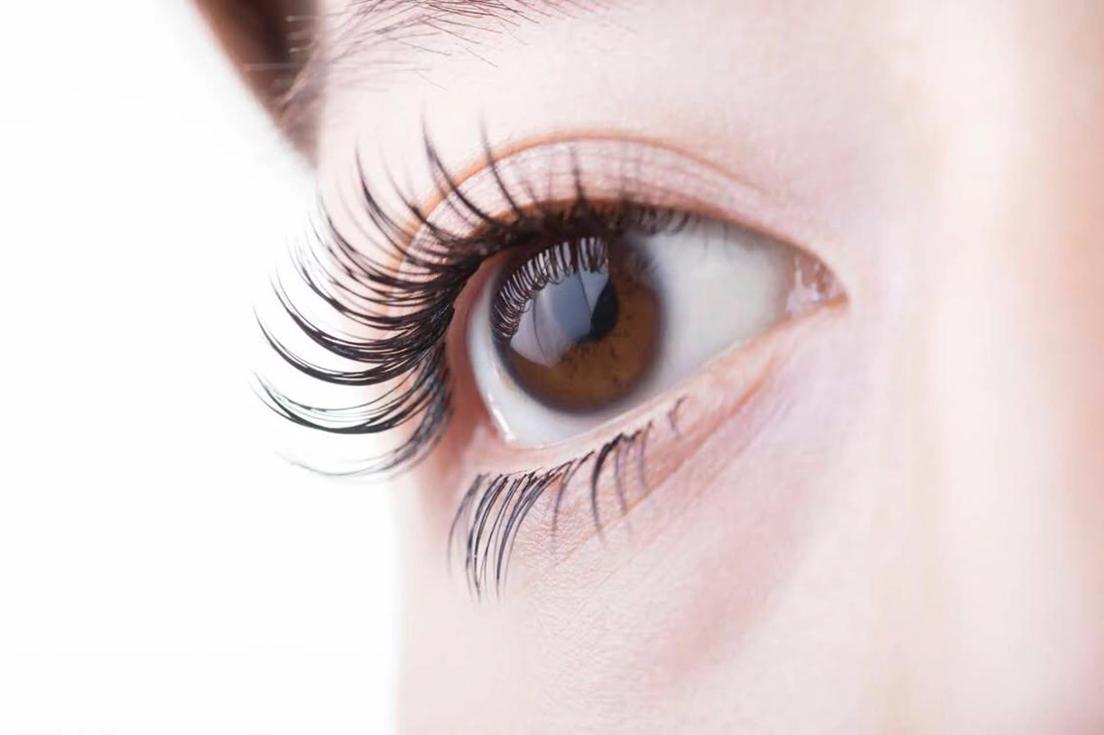 ラッシュリフト下まつ毛パーマ カウンセリング込30分の写真