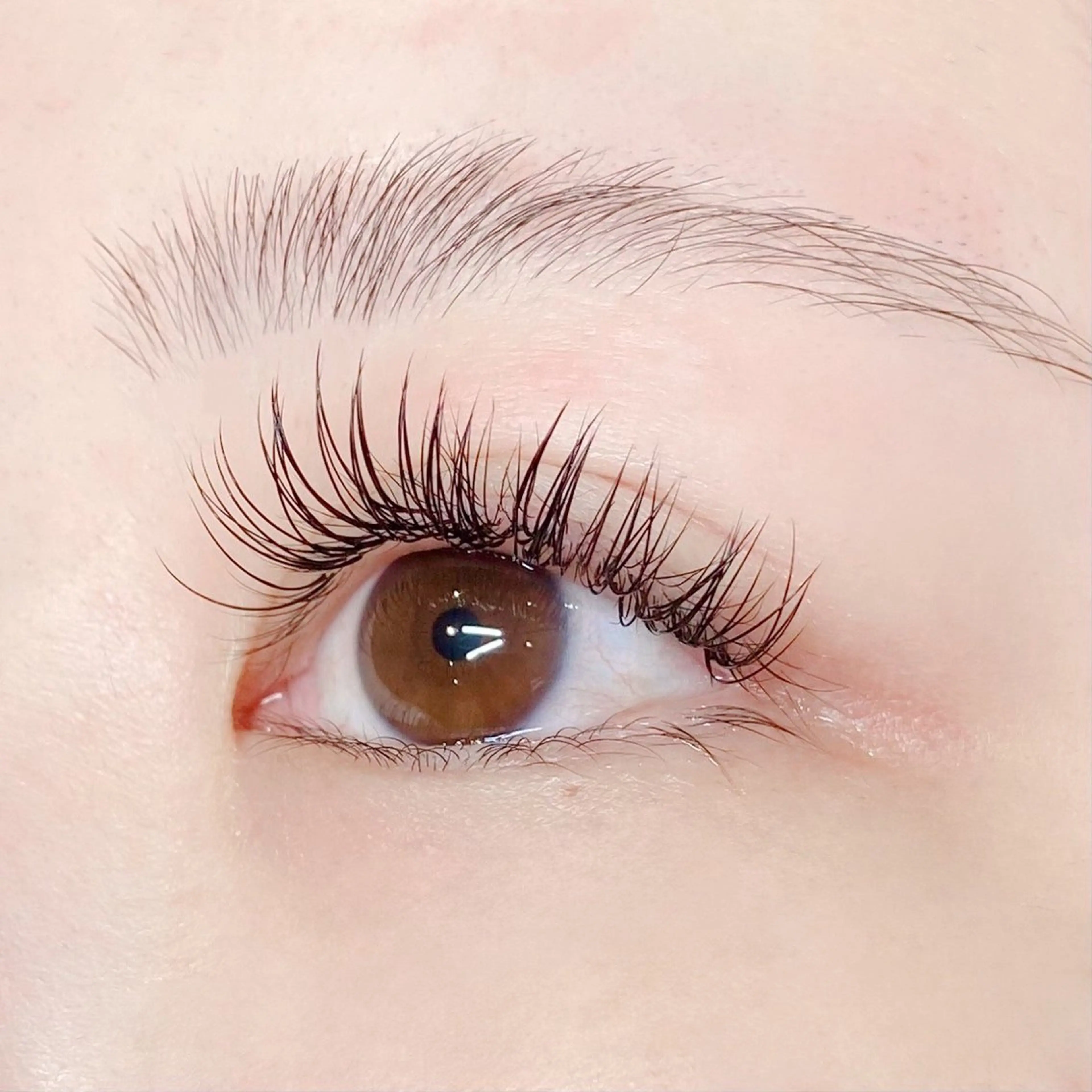 マツエク・マツパ Cカール フラットラッシュ ナチュラル perfect  beauty ichiryu所属・酸性ストレート✨ 艶カラー✨谷口倭子のヘアスタイル