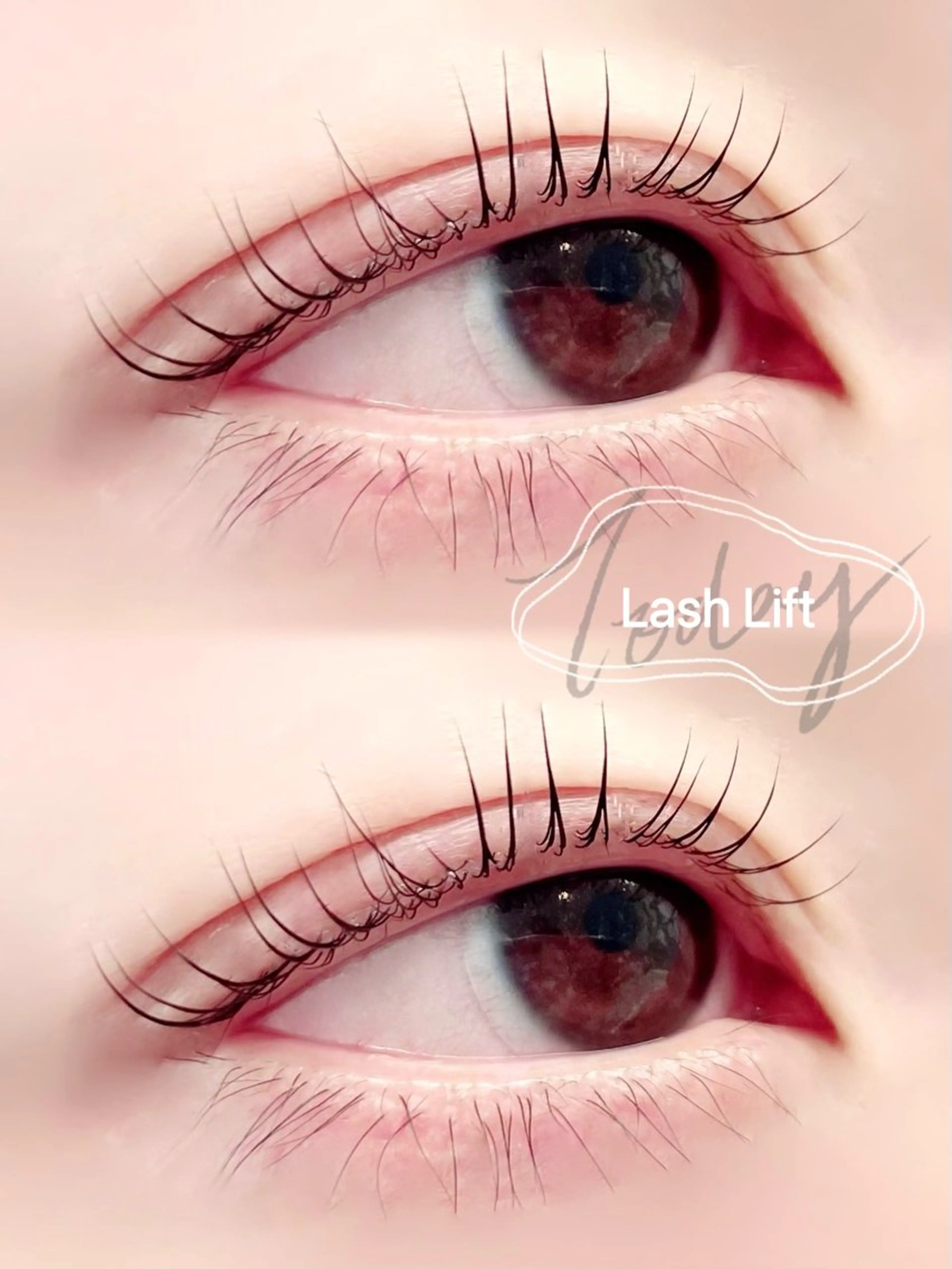 マツエク・マツパ マツパ BRISE yukoの眉毛・アイブロウイメージ