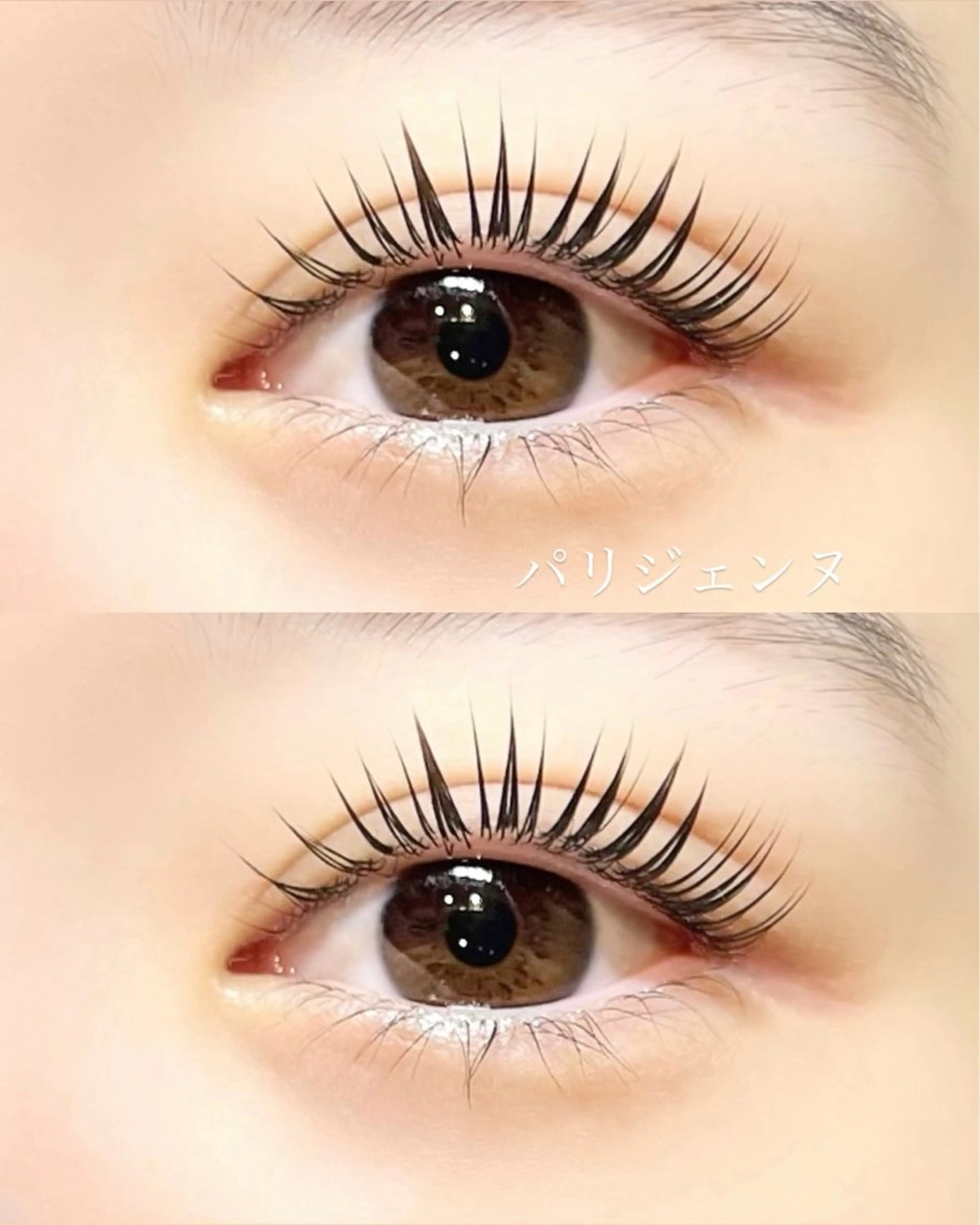 パリジェンヌラッシュリフト🍀の写真