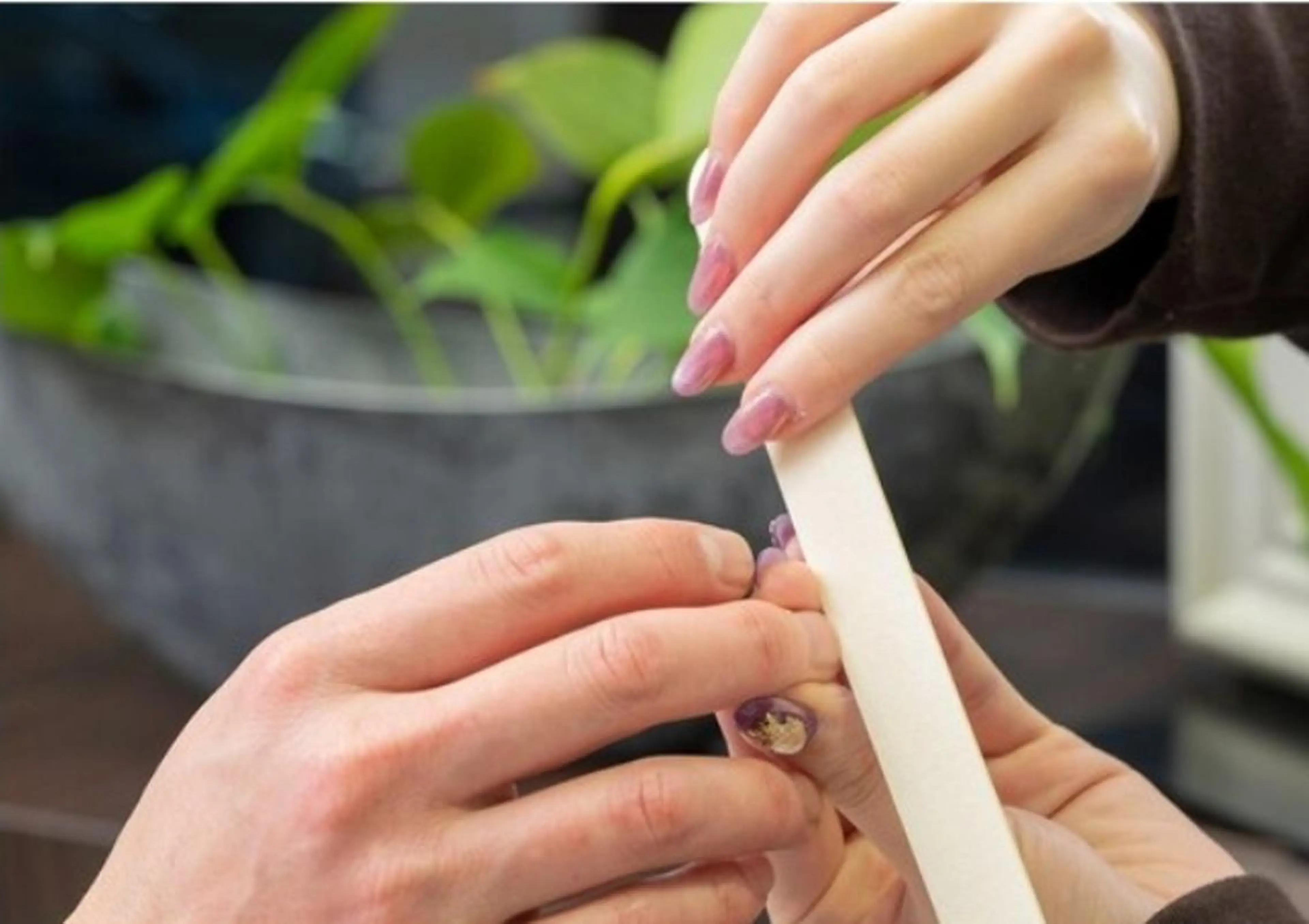 ネイル SHOOP plus miyuのネイルデザイン