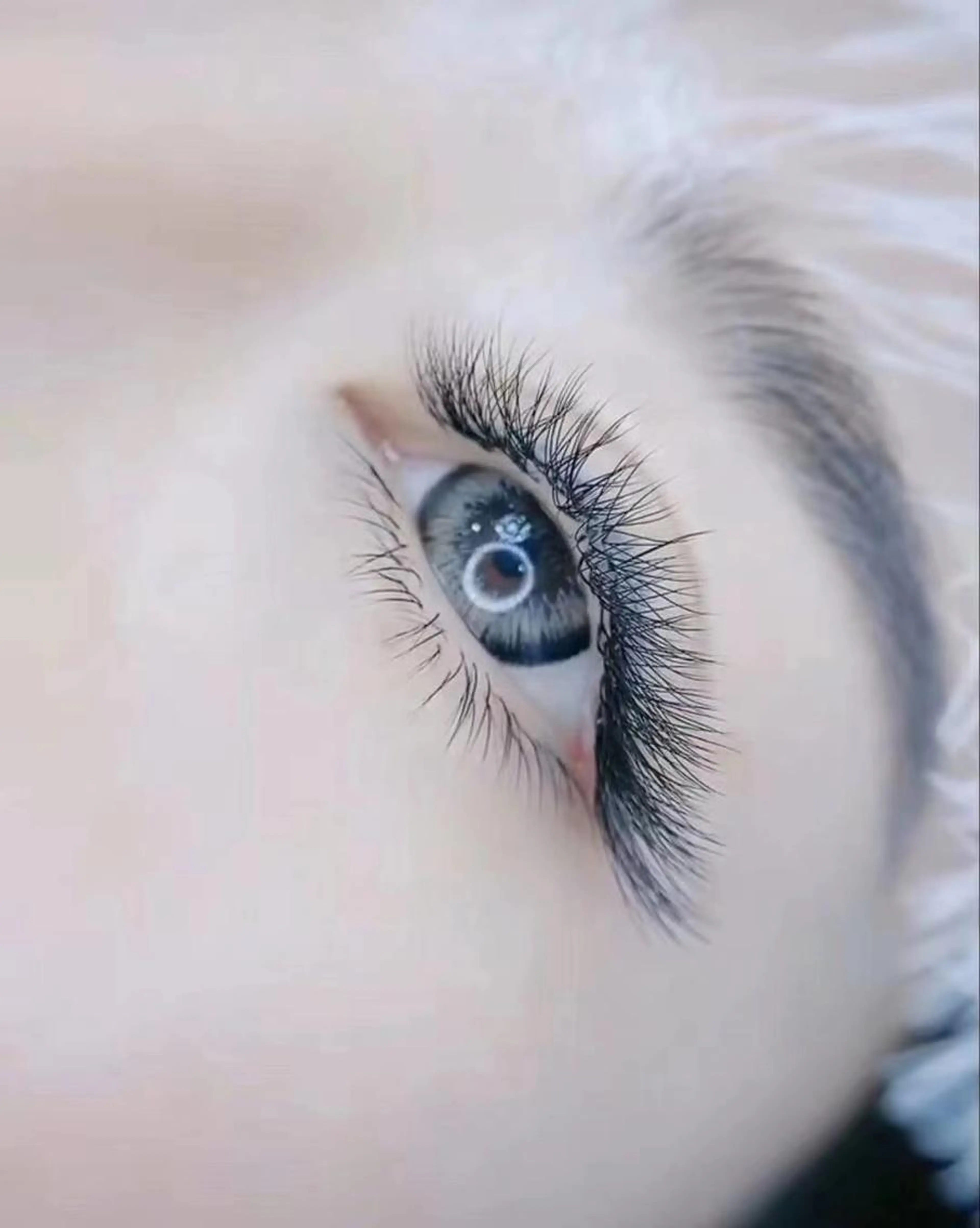 💐マツエクボリューム160束💐価格8000円💖の写真