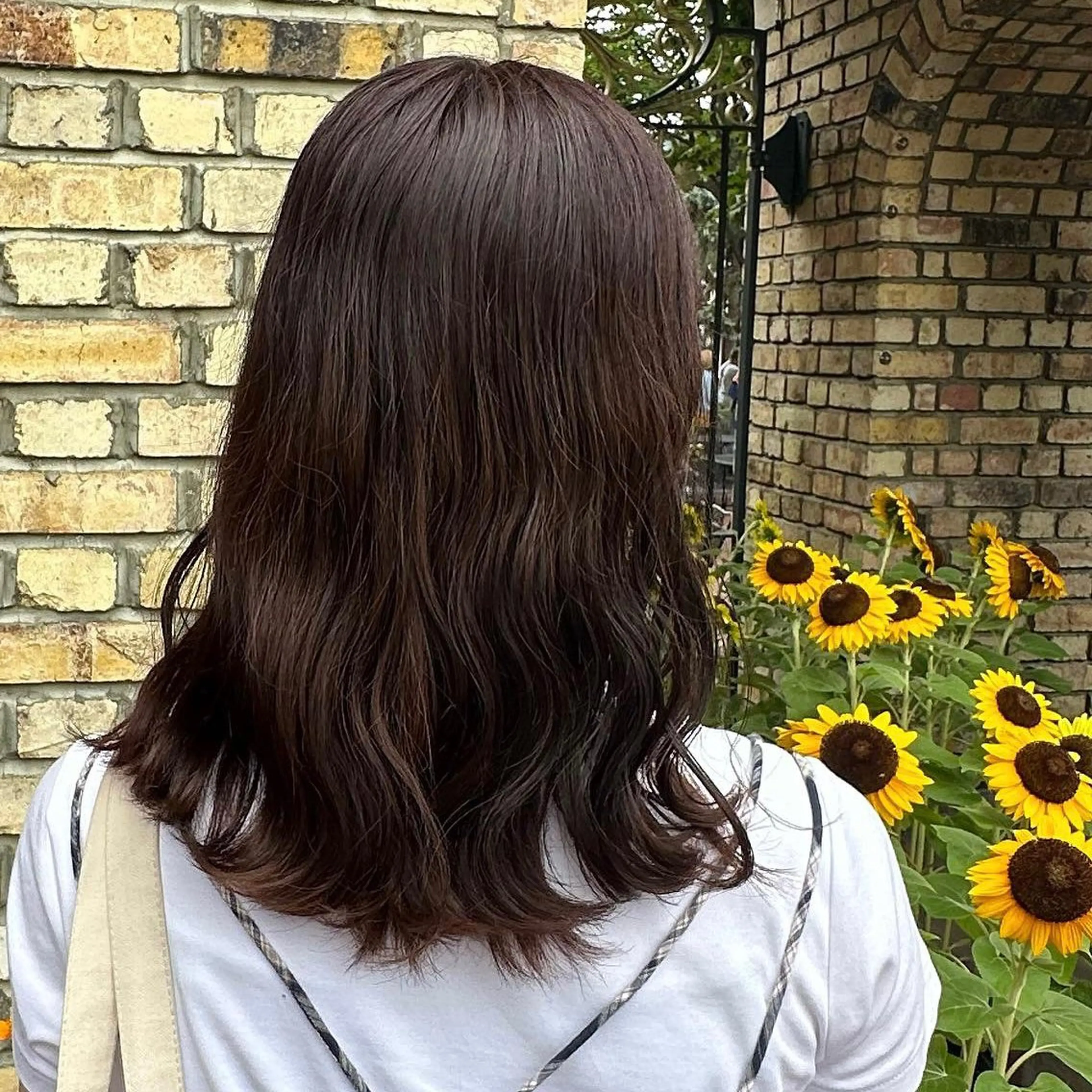 ミディアム 艶カラー/レイヤー /メンズ/マツエクのヘアスタイル