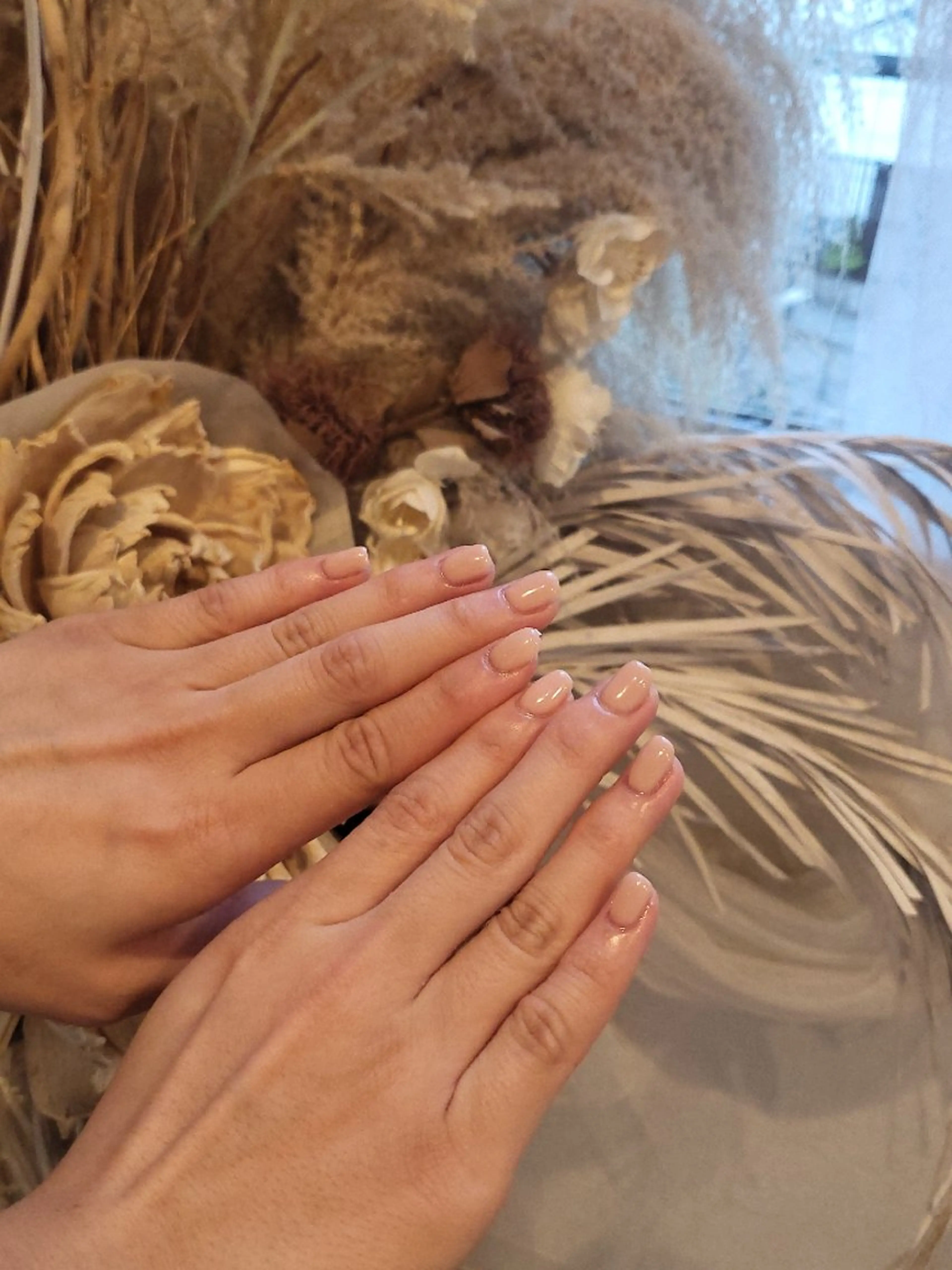 オフなしワンカラーの写真