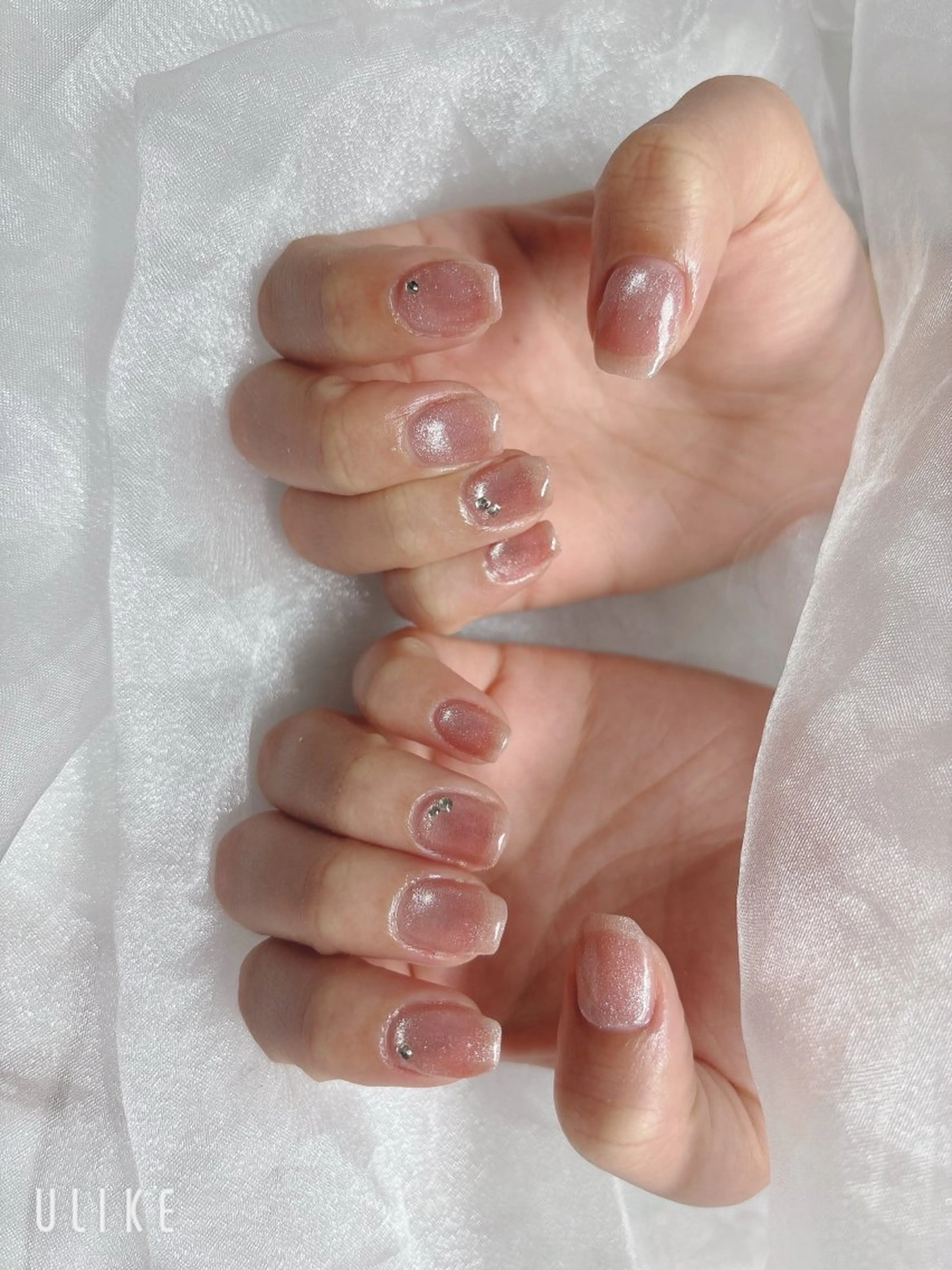 ネイル マグネットネイル ピンク ハンドネイル BABY LION :Fumiyoのネイルデザイン