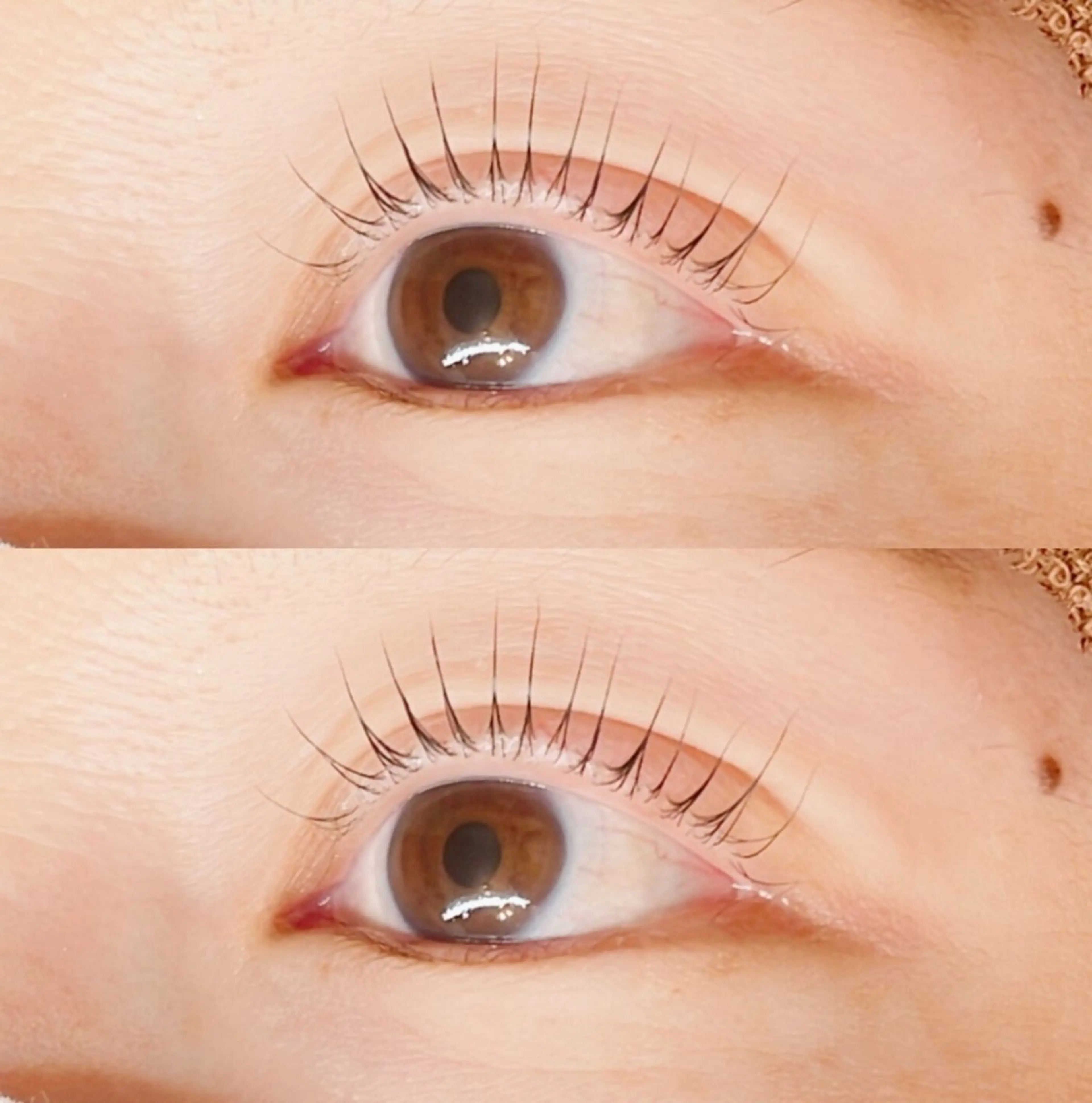 マツエク・マツパ まつげパーマ マツパ ＜まつげパーマ・アイブロウ・ヘアメイク 専門店＞Le vail 札幌円山店所属・Le vail 藤光のマツエク・マツパデザイン