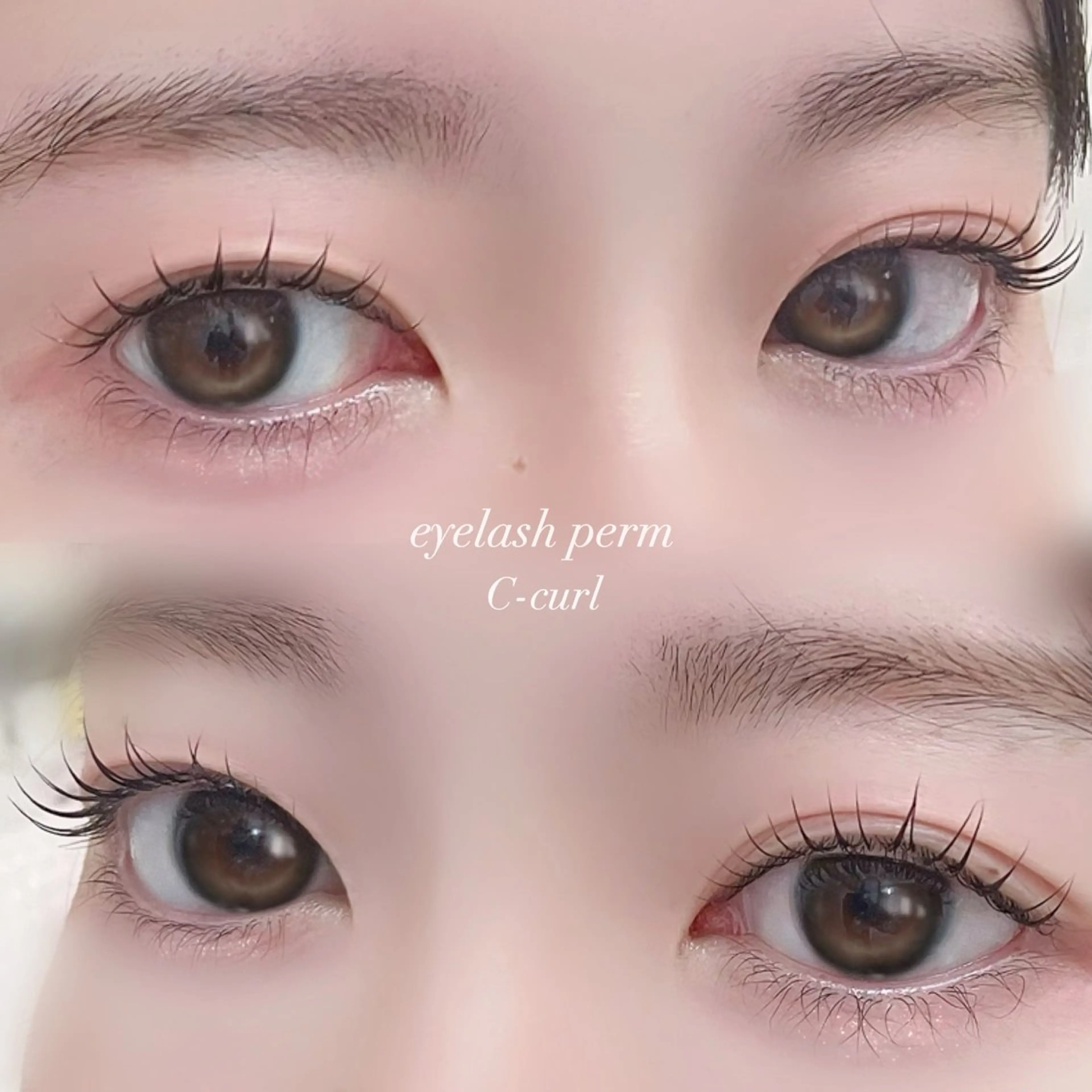 【️Jr.アイリスト限定クーポン】まつげパーマ🎀12月ご来店限定の写真