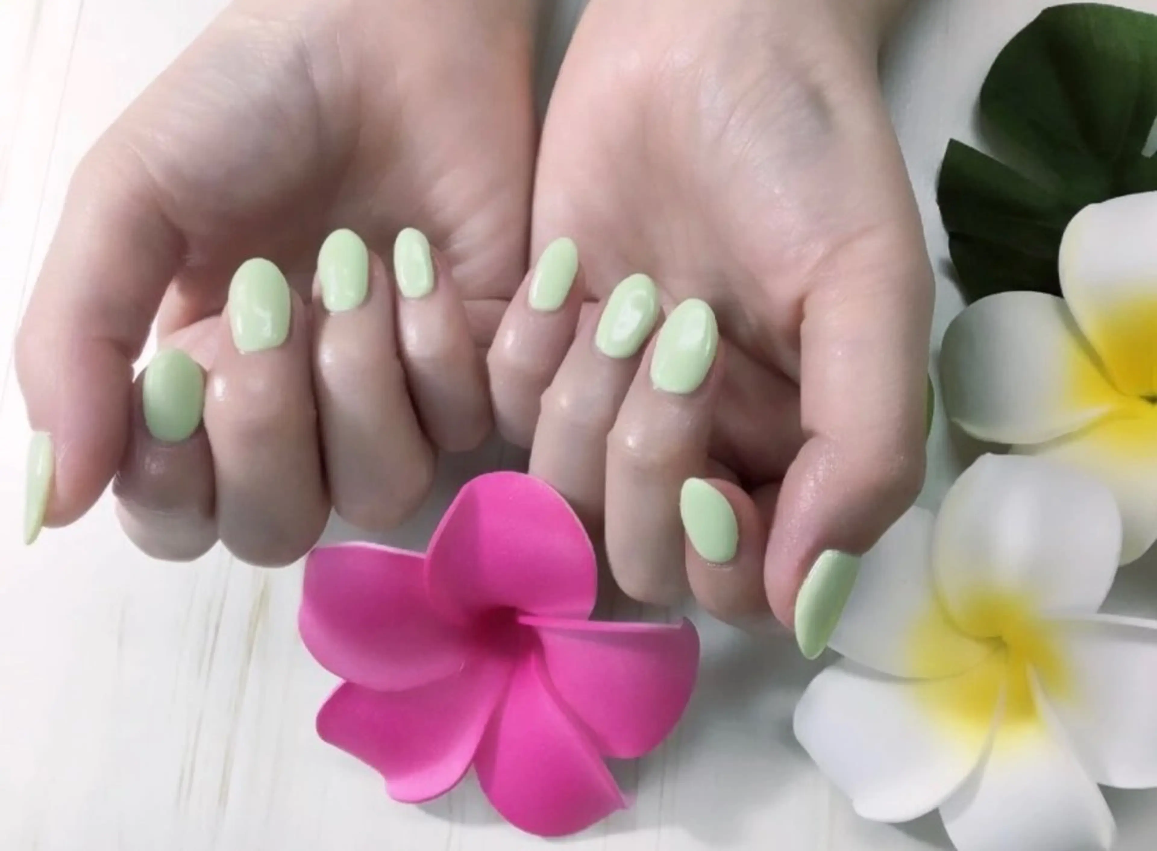 ネイル グリーン ワンカラーネイル デュアス R _宇都宮のネイルデザイン