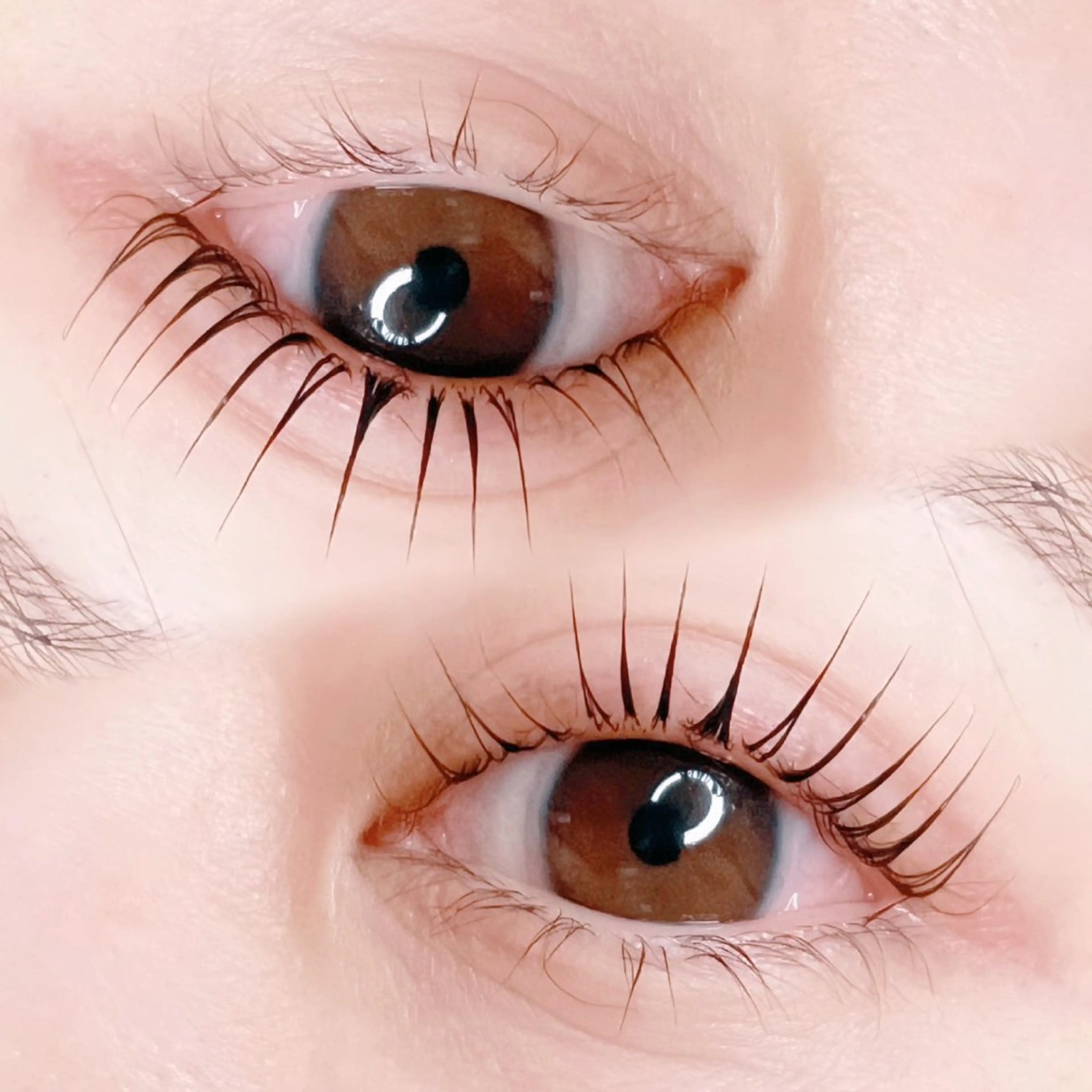 マツエク・マツパ 一重×まつ毛パーマ Arva 【Leia】のマツエク・マツパデザイン