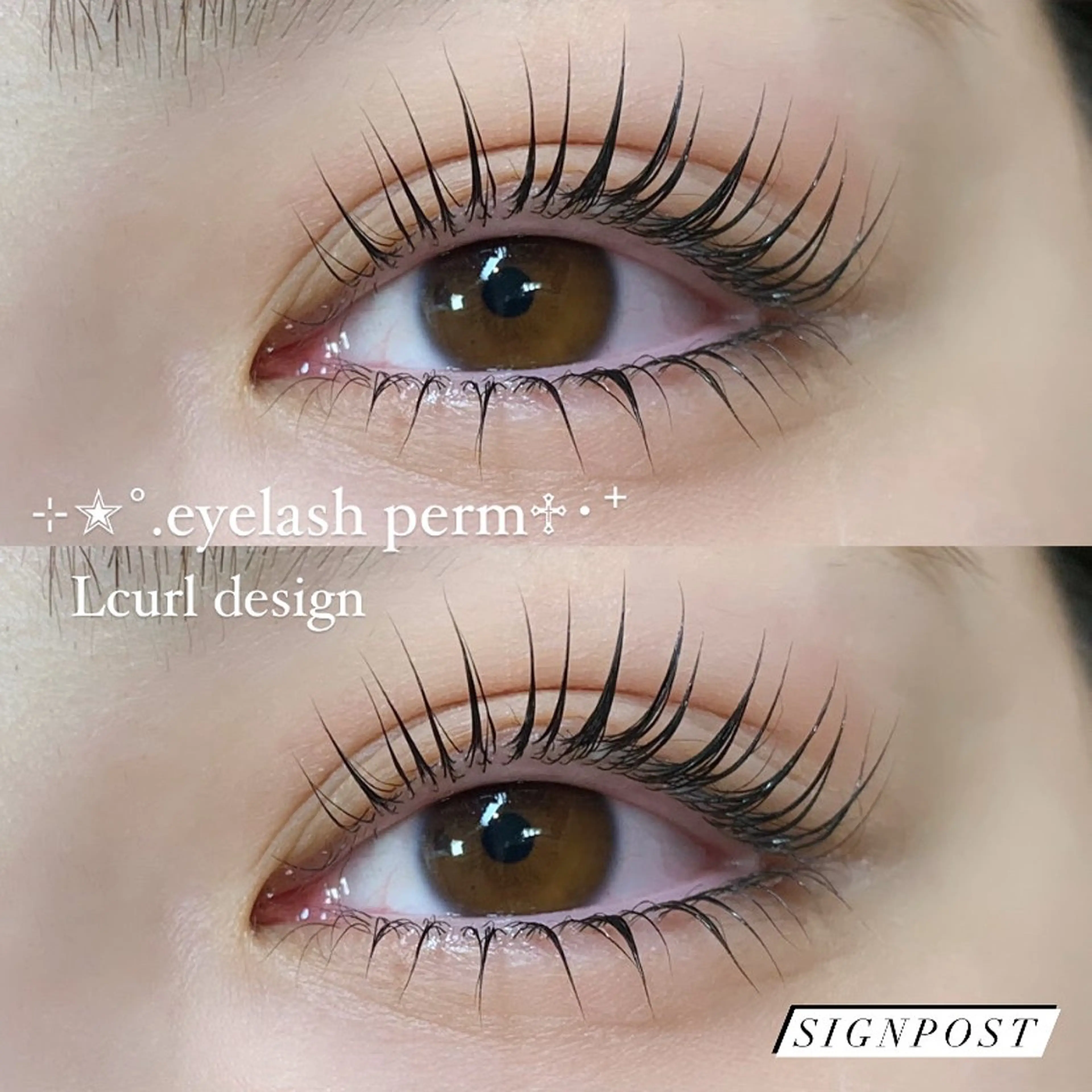 マツエク・マツパ Signpost 井上のマツエク・マツパデザイン