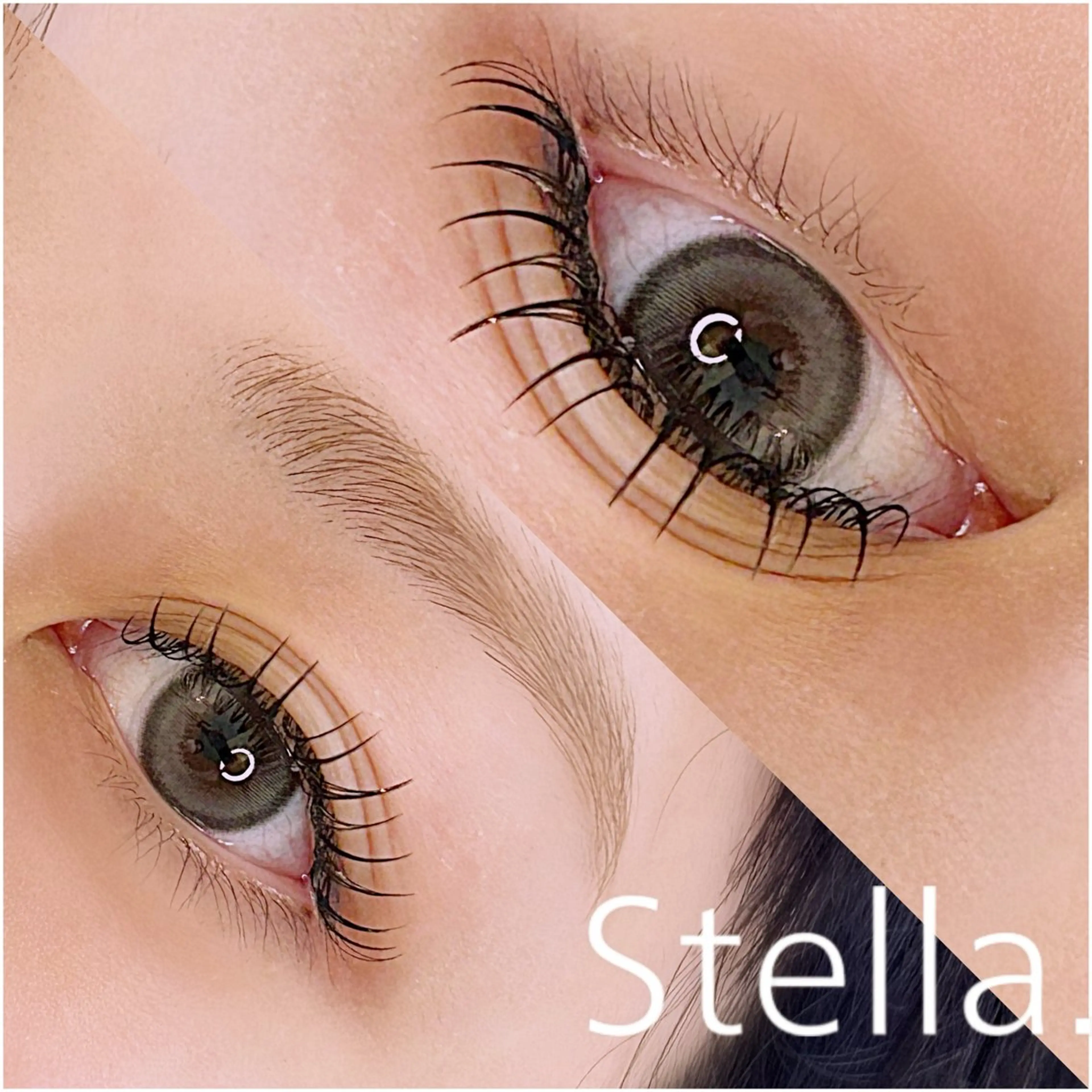 マツエク・マツパ フラットラッシュ Stella.✨ Ikedaのマツエク・マツパデザイン