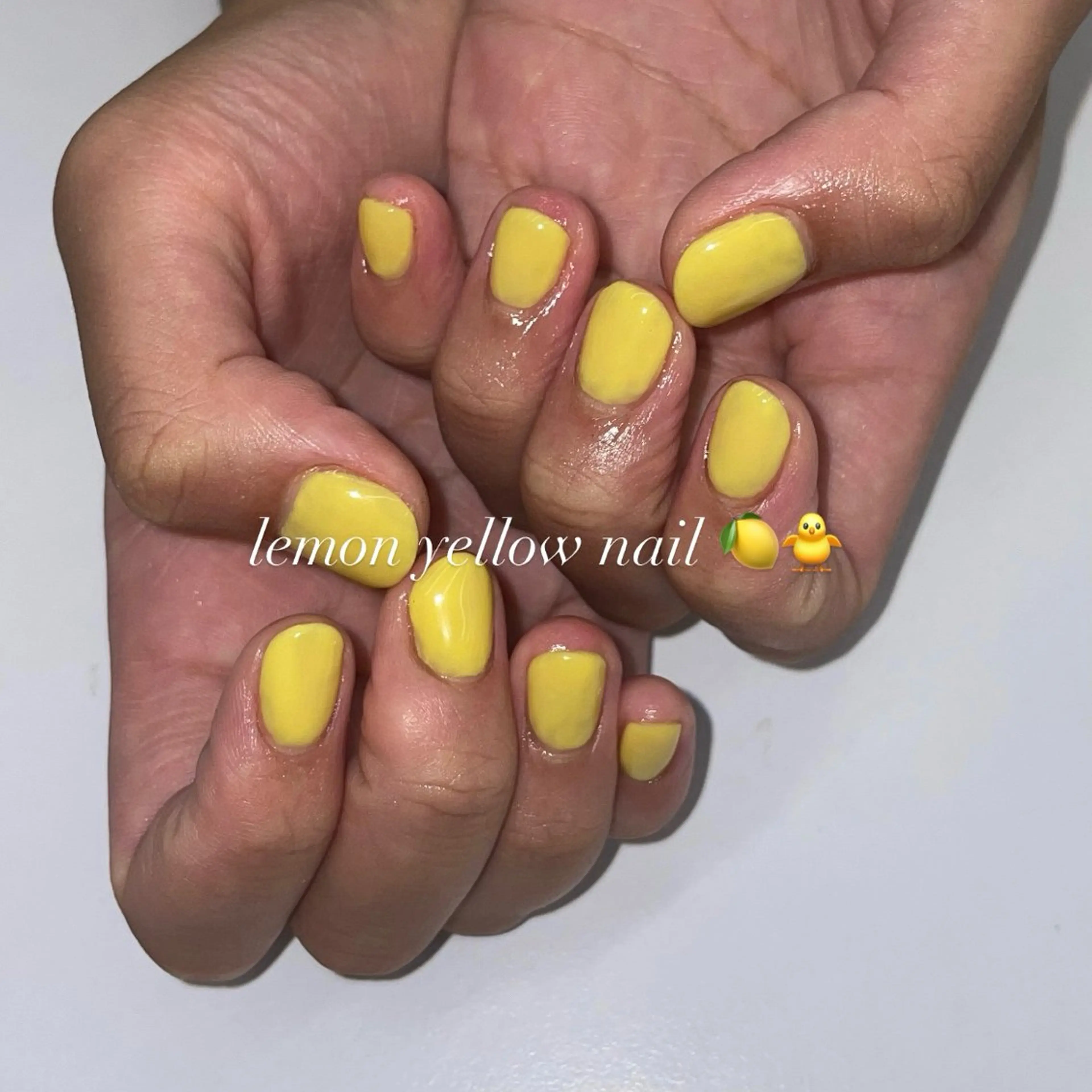 ネイル ハンドネイル ななみ.⋆𝜗𝜚 艶カラー/まつパのヘアスタイル