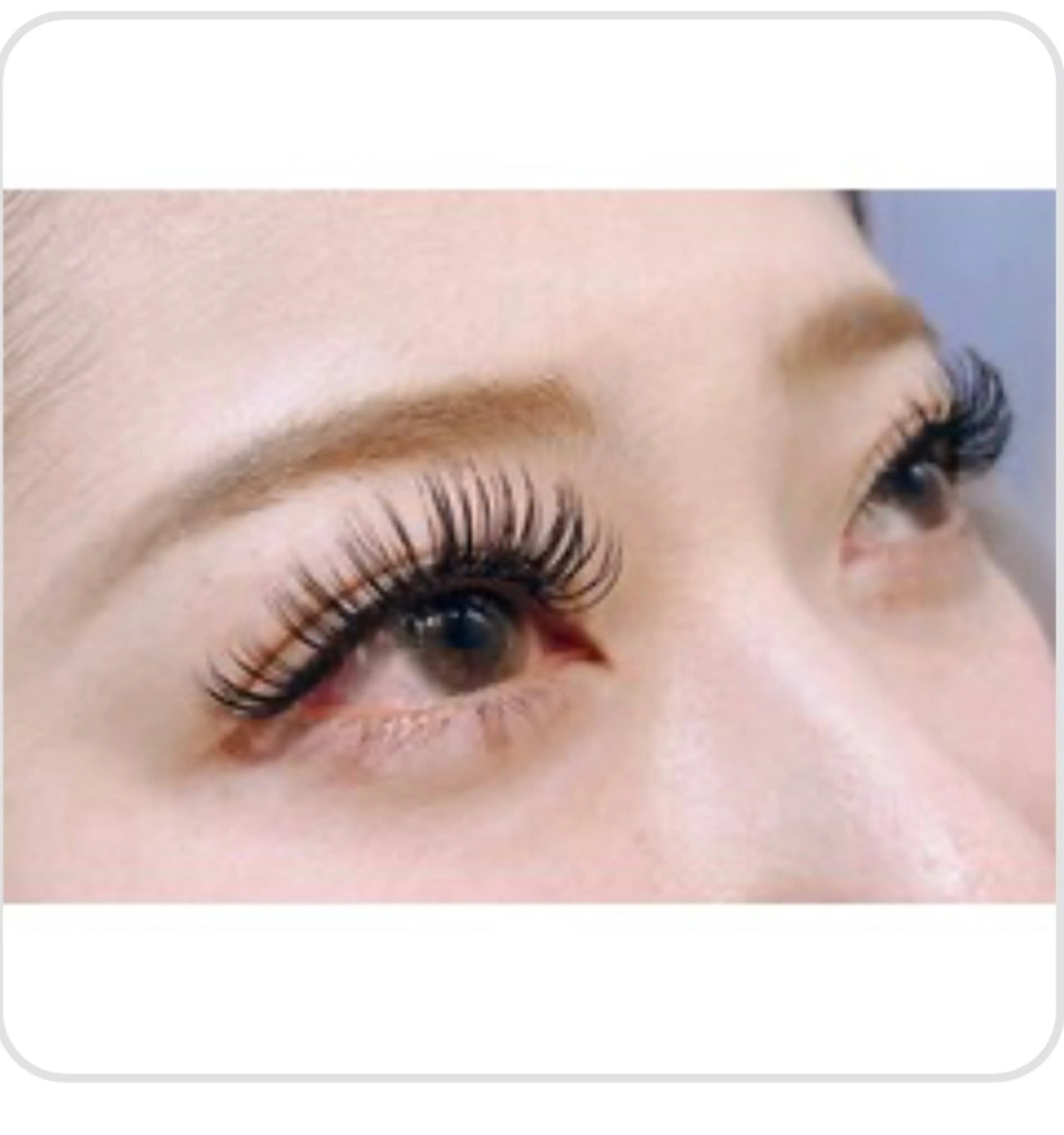 【LEDマツエク】⌇🌱3Dフェザーボリュームラッシュ⭐️⌇オフあり80束、オフ無し100束の写真