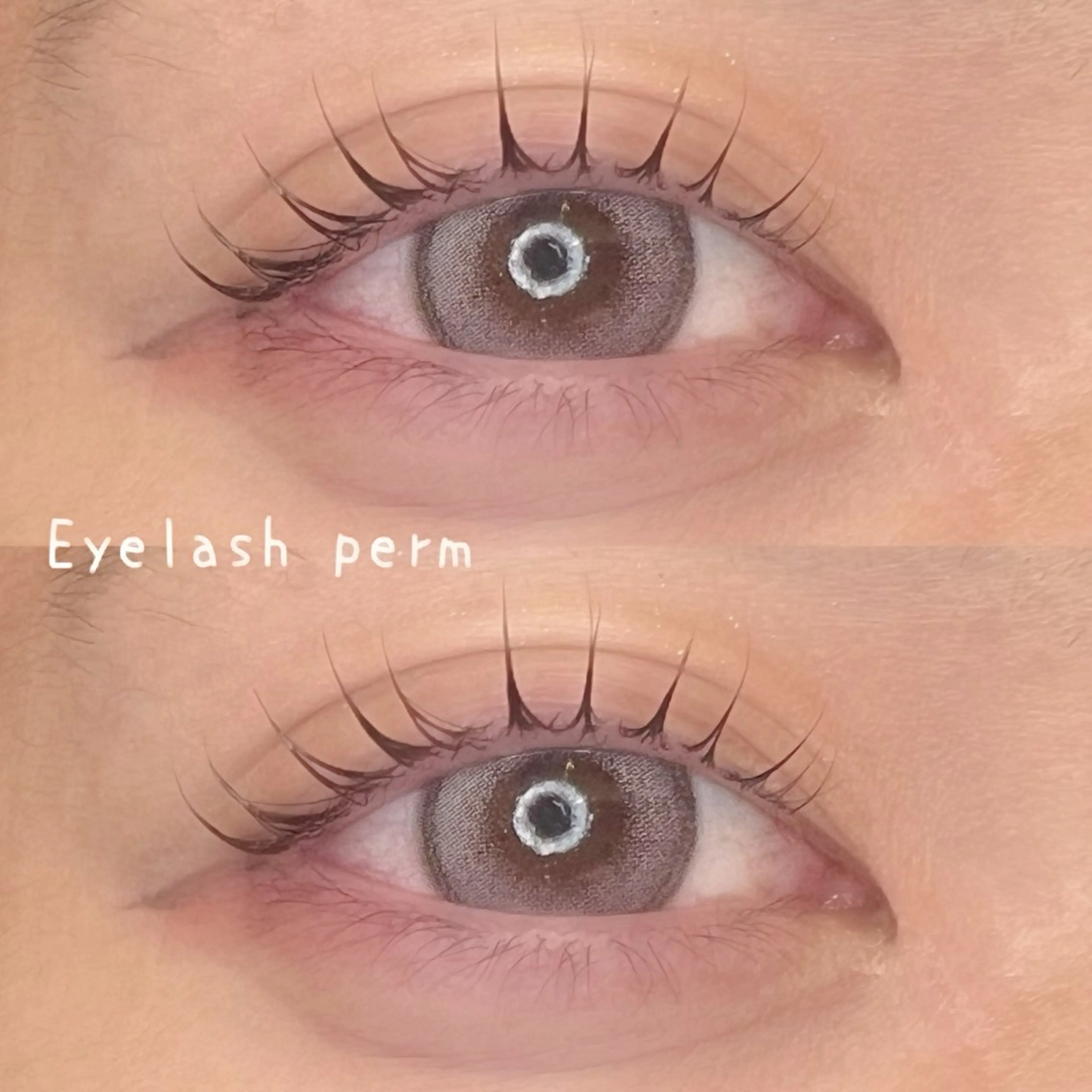 【新規限定】時間相談⚠️最強可愛いまつ毛パーマ🎀+アイシャンプー＋トリートメント付き💗注意事項必見の写真