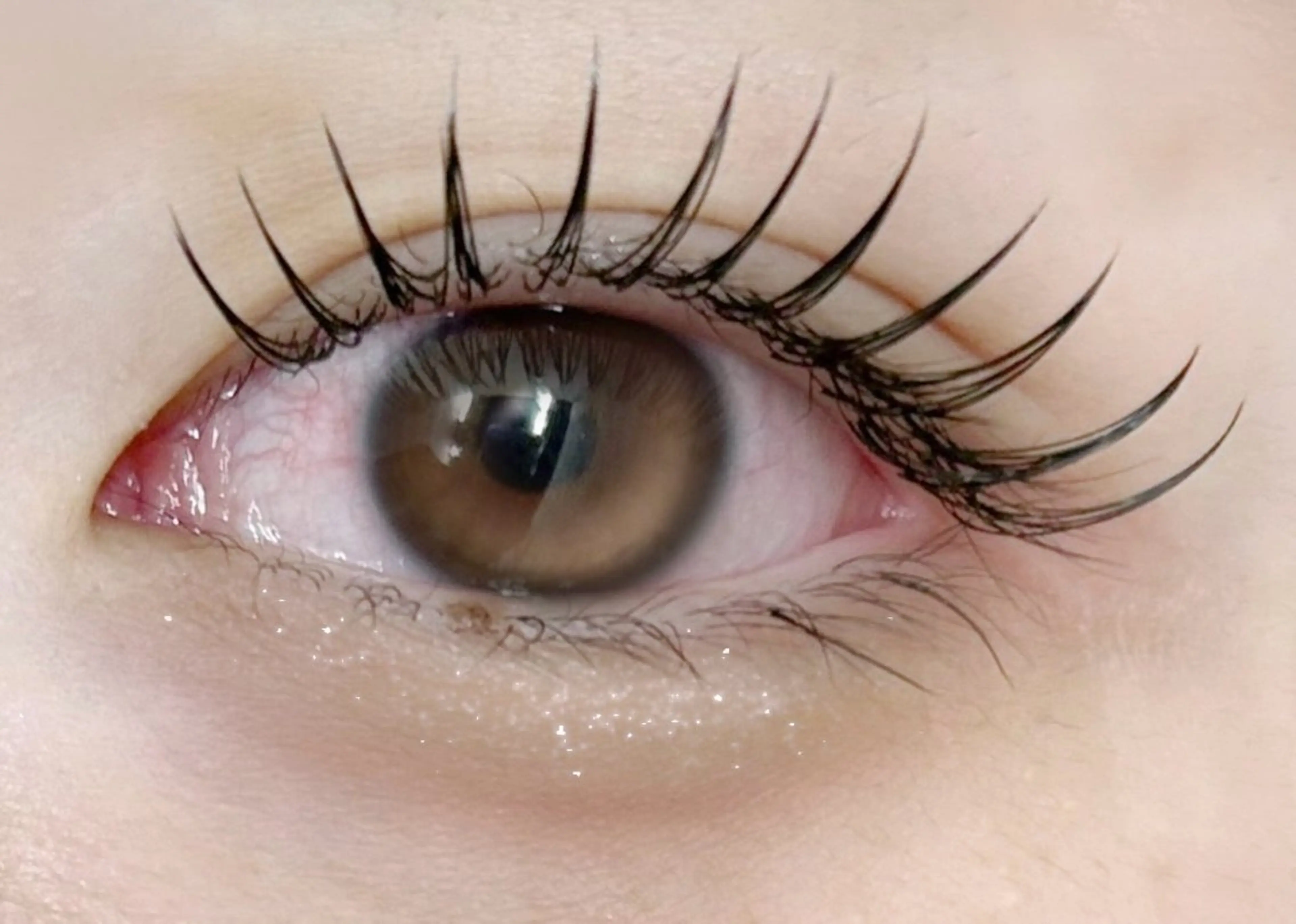 オフ無料♪オープン記念価格フラットラッシュ100本の写真