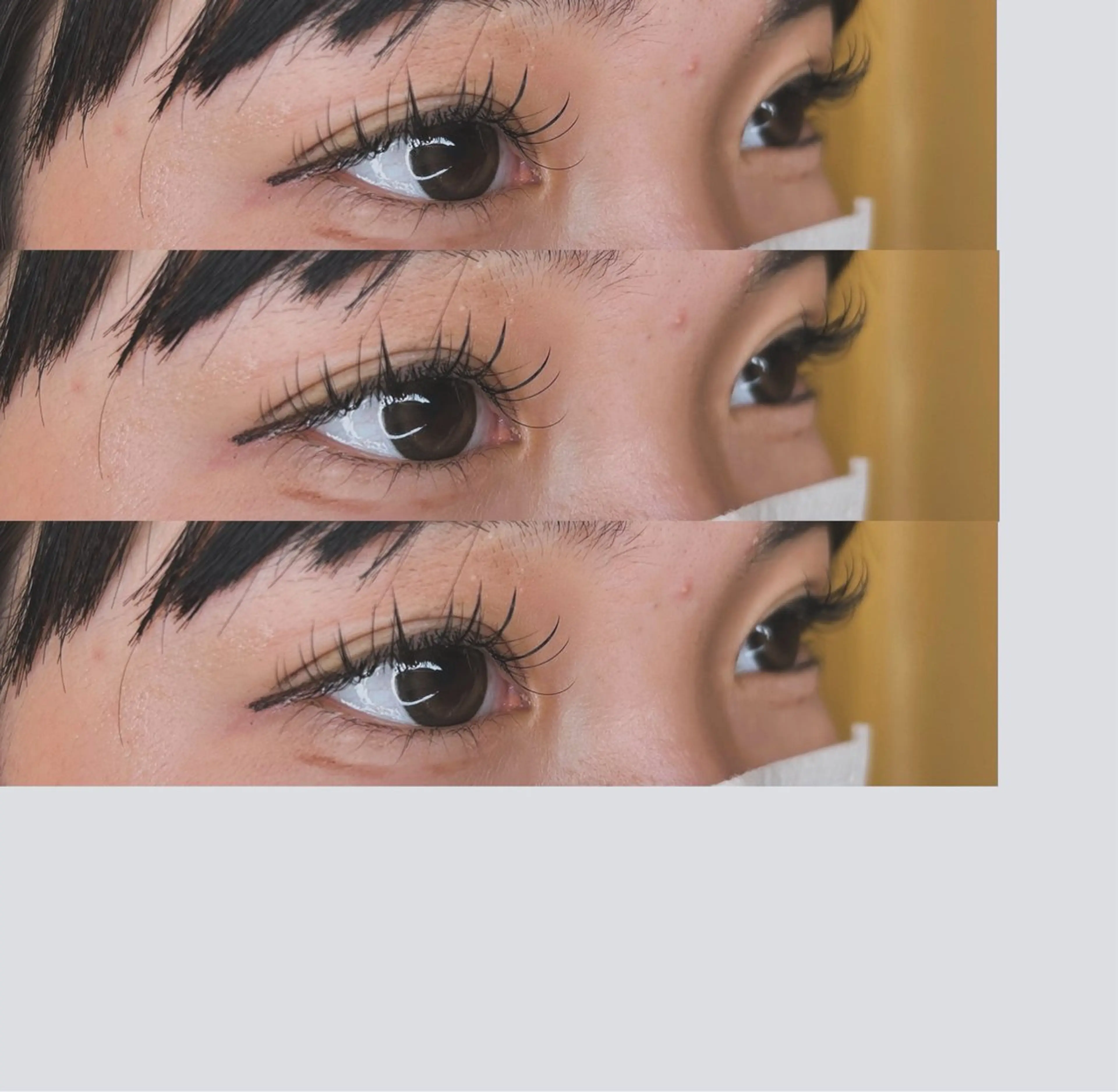 バインドロック🌟【100束】の写真