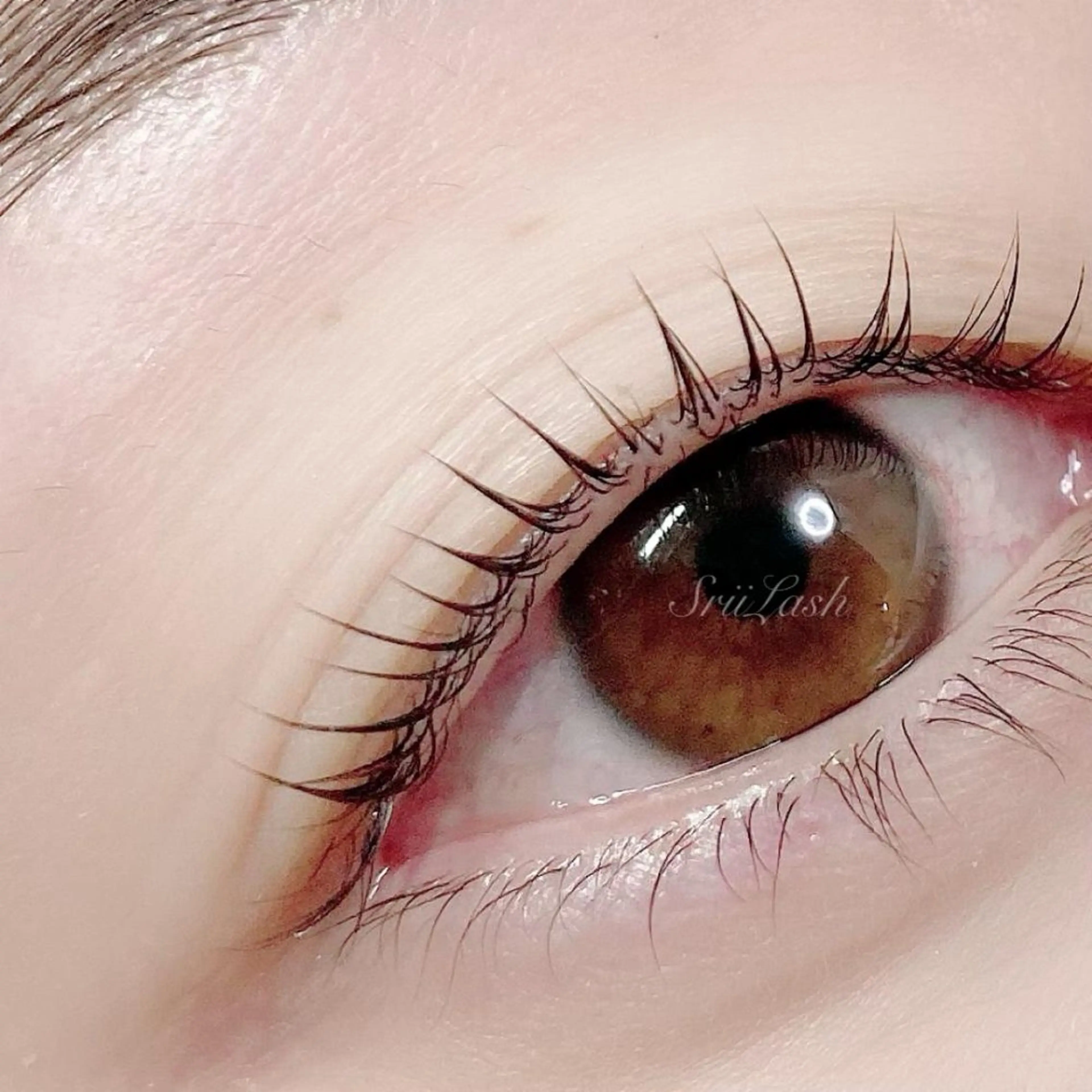 パーマ シリーラッシュ自由が丘所属・シリーラッシュ 自由が丘のマツエク・マツパデザイン