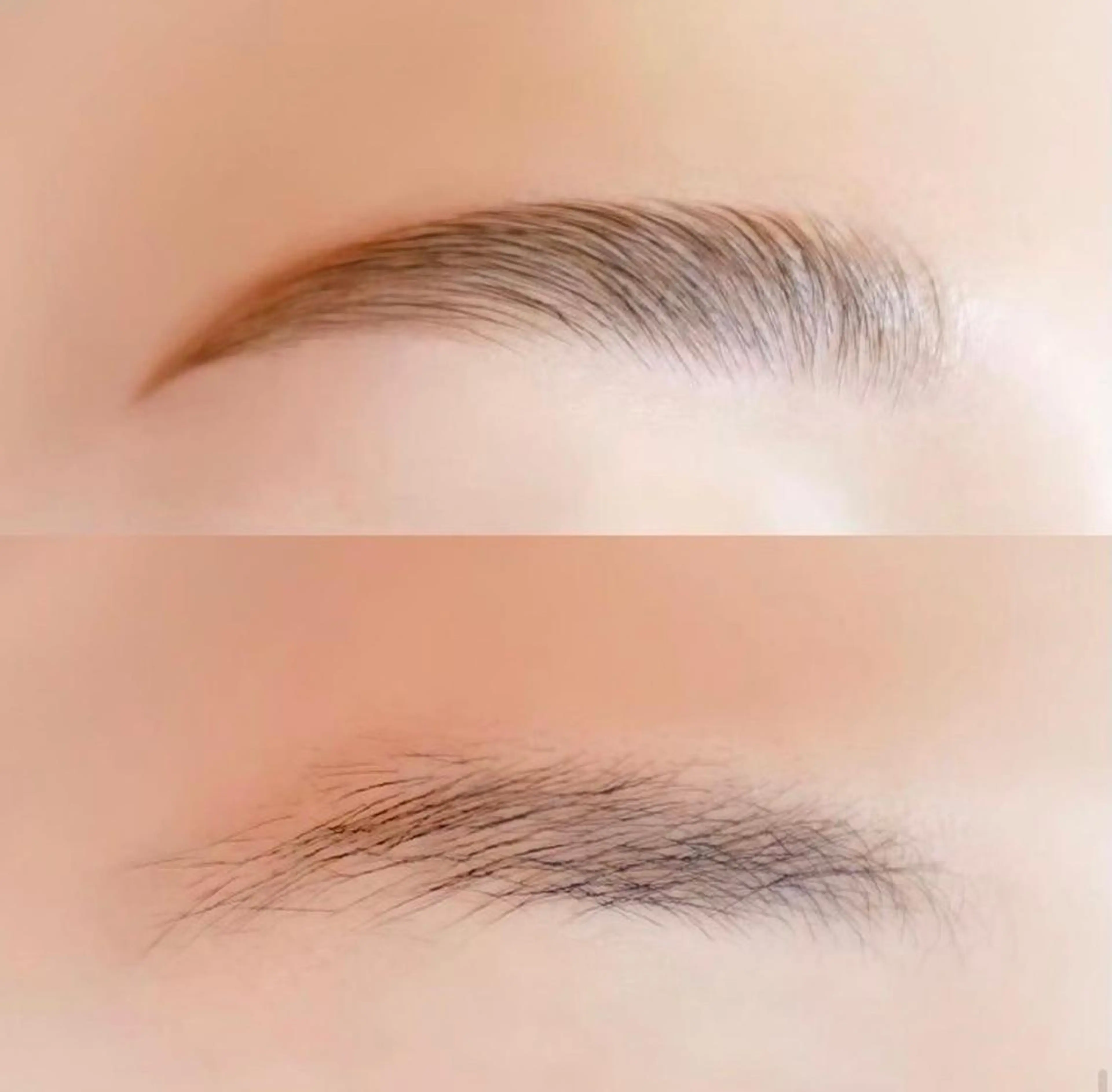 HBL &ワックス脱毛セット🎀眉毛の毛流れを整え＆ムダ毛を除毛　カット込み🎀の写真