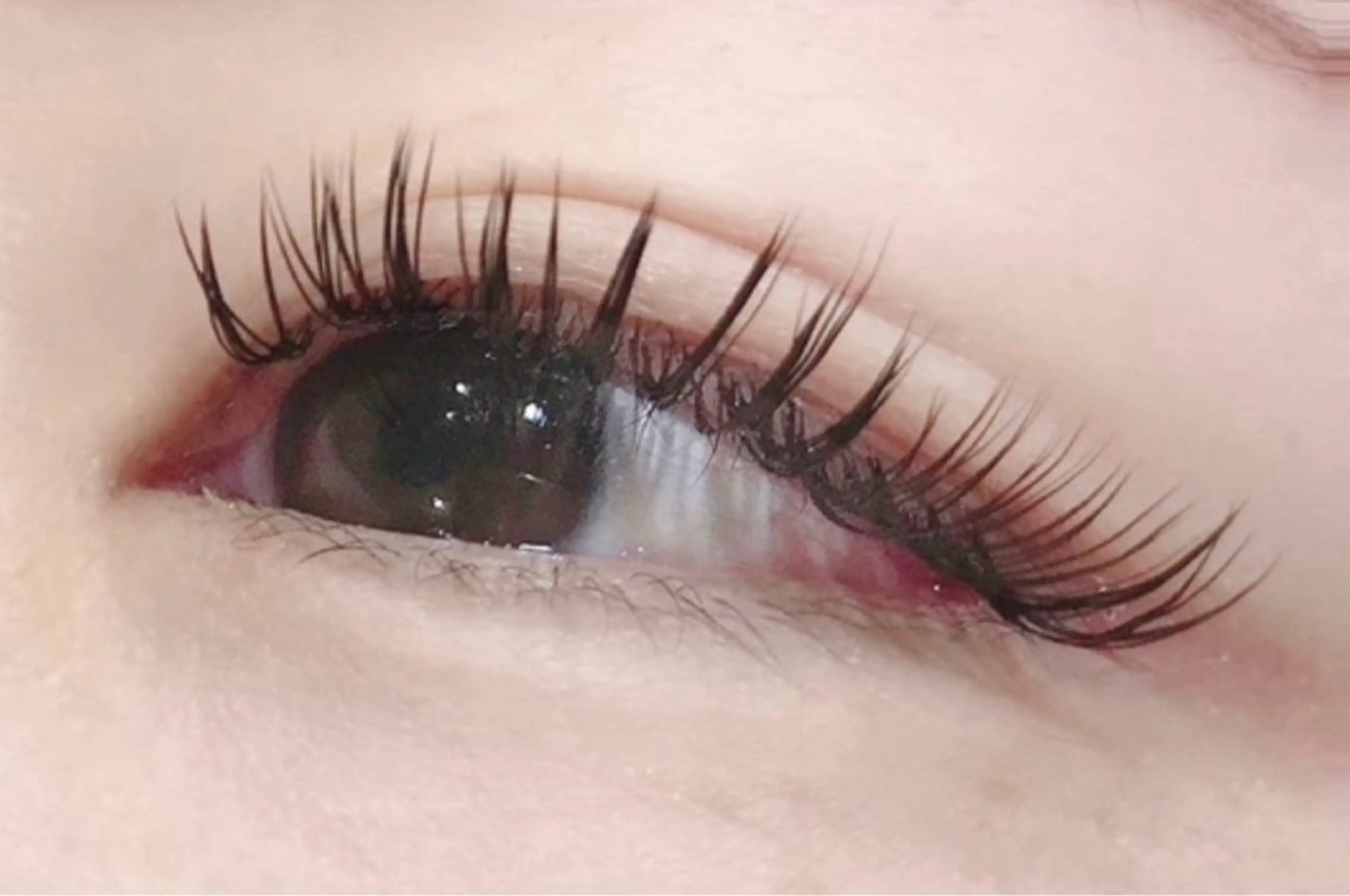 マツエク・マツパ フラットラッシュ マツエク BRISE yukoの眉毛・アイブロウイメージ