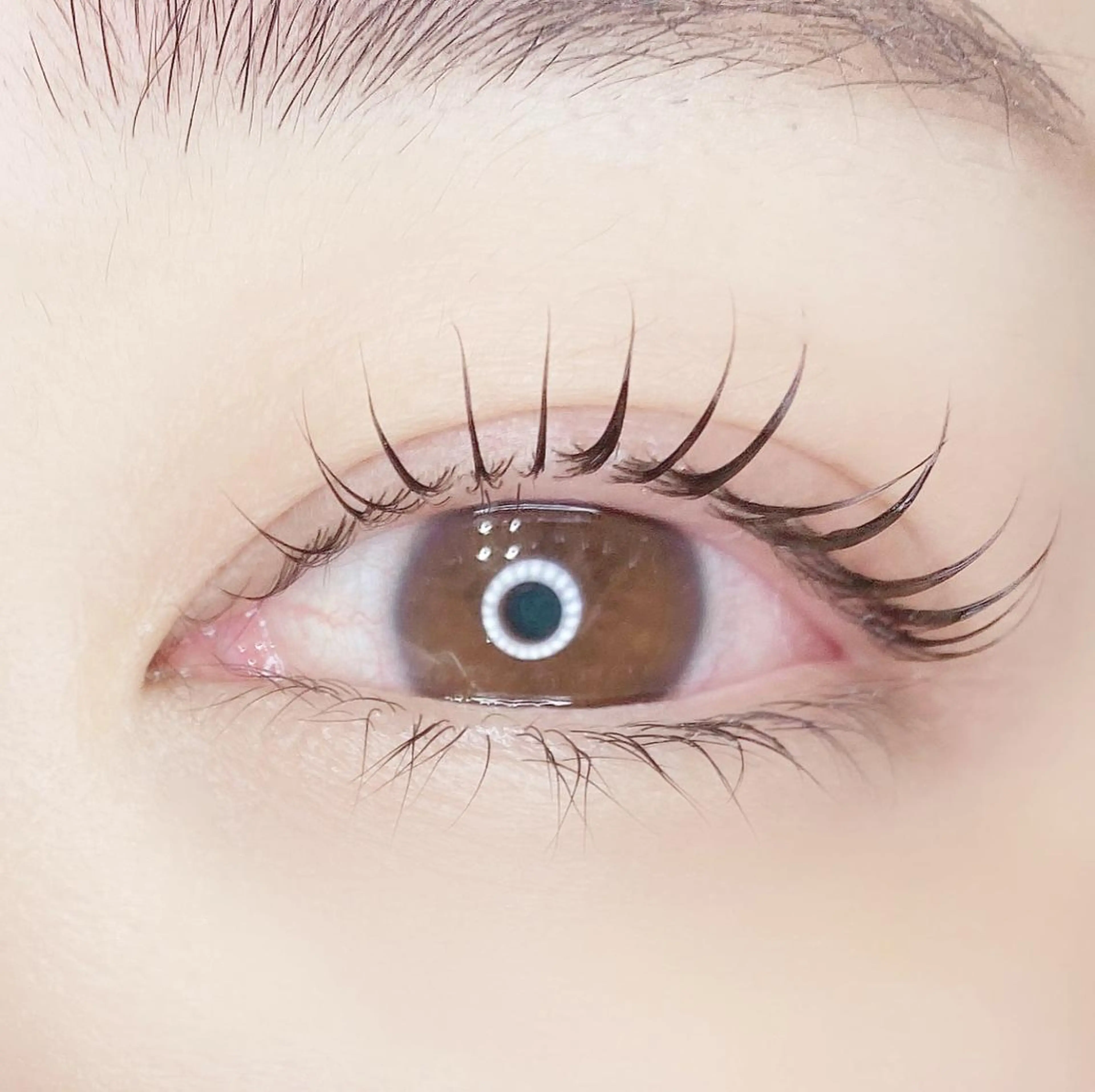 マツエク・マツパ Beauty Salon Ｍonet所属・菅 原のマツエク・マツパデザイン