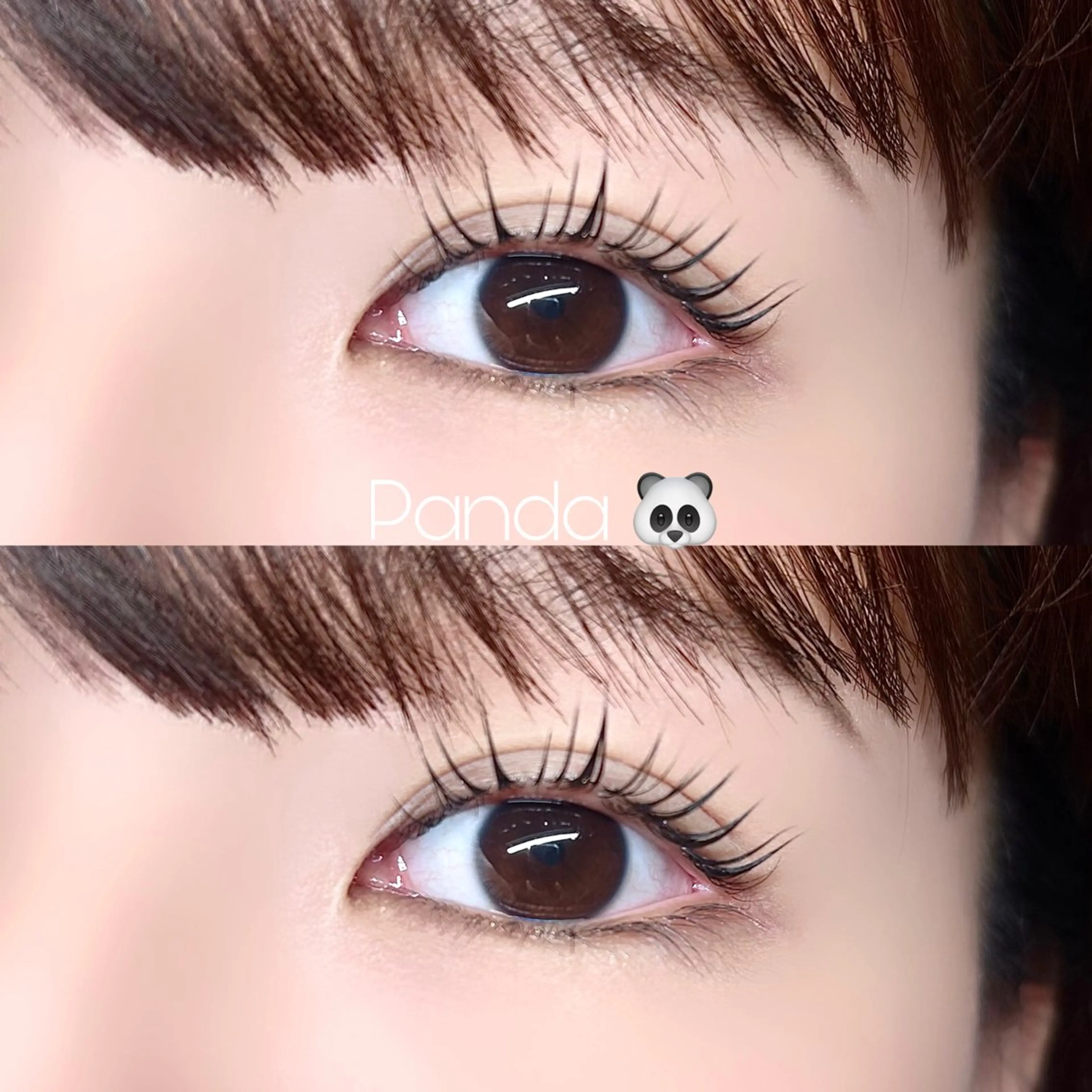 マツエク・マツパ Calm茅ヶ崎 / SHIBATAのマツエク・マツパデザイン