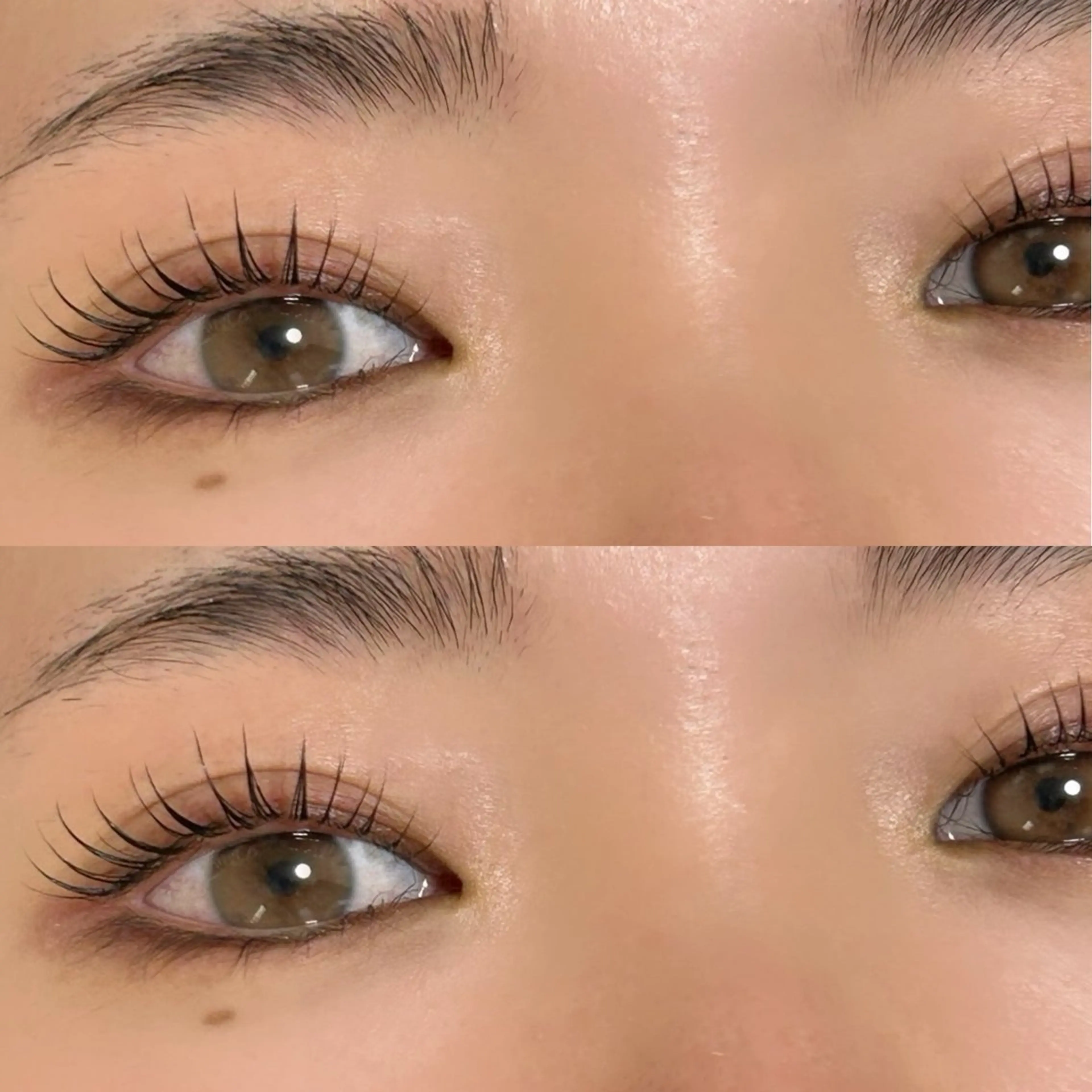 マツエク・マツパ 🌸jiem5 sakura🌸のマツエク・マツパデザイン