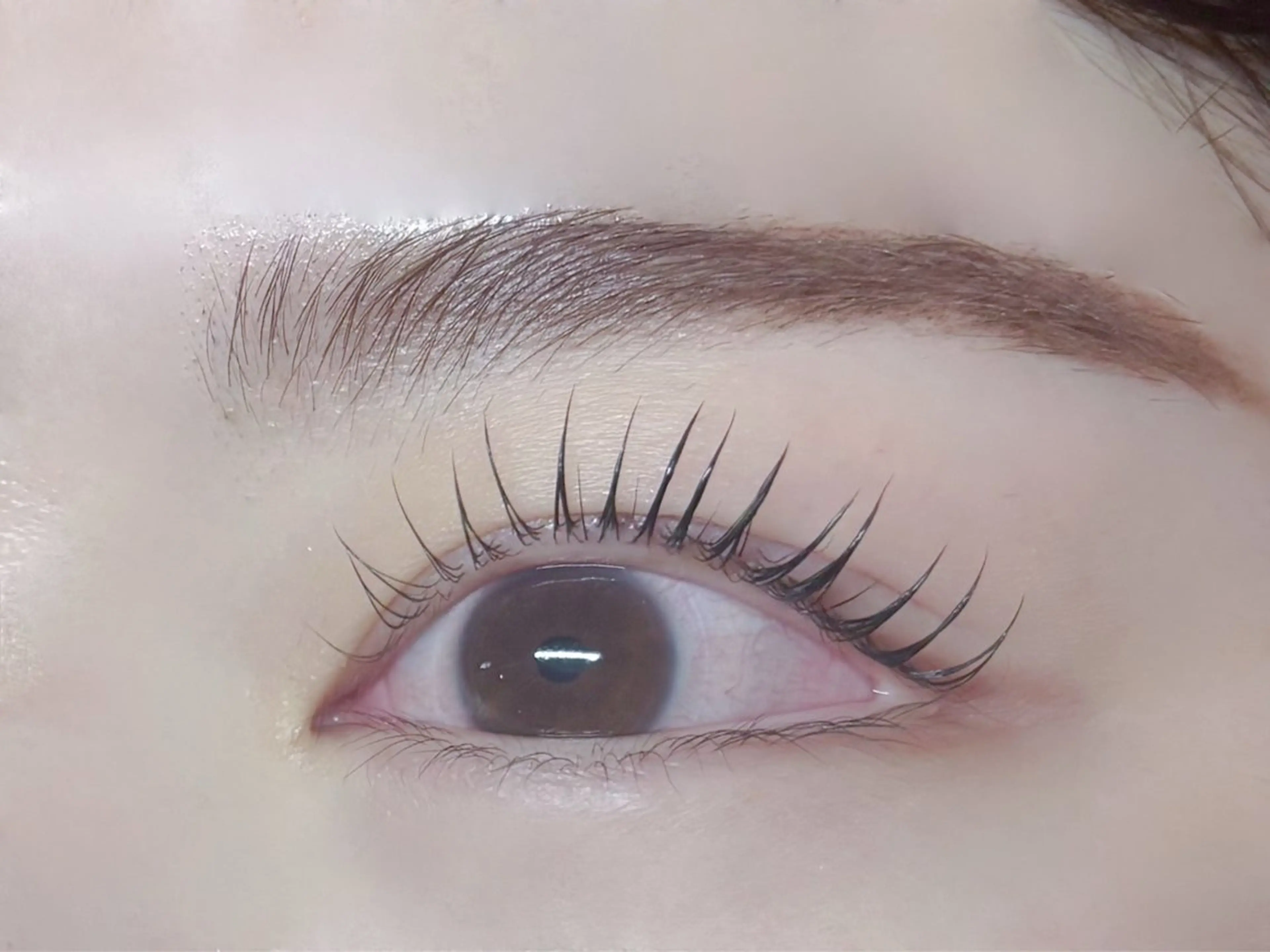 ミニモ限定！！【洗浄／保湿/まつげパーマ】ケアラッシュリフト+Trコート* 6000→の写真