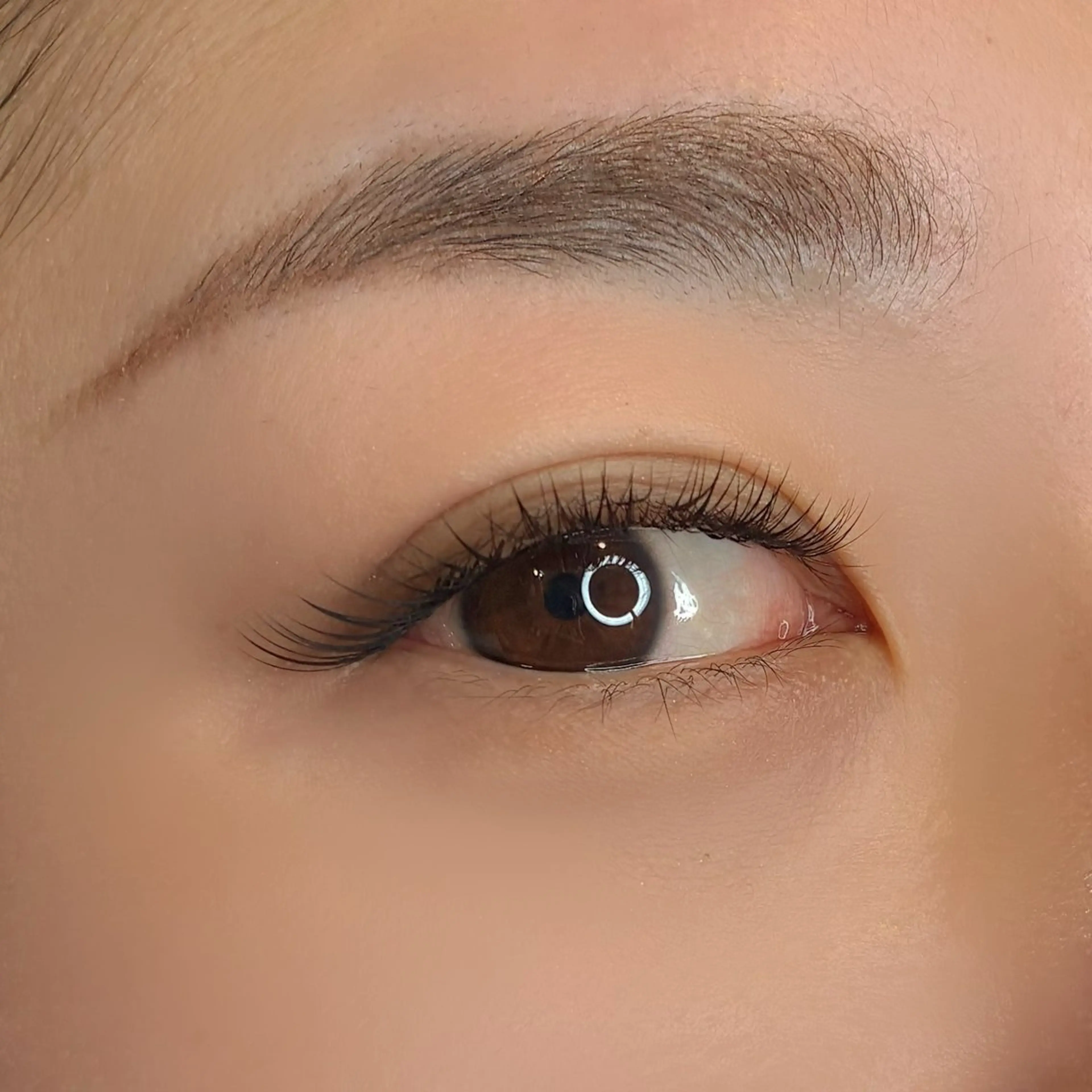 🌵ボリュームラッシュ 120本🌵オフ込み🌵の写真