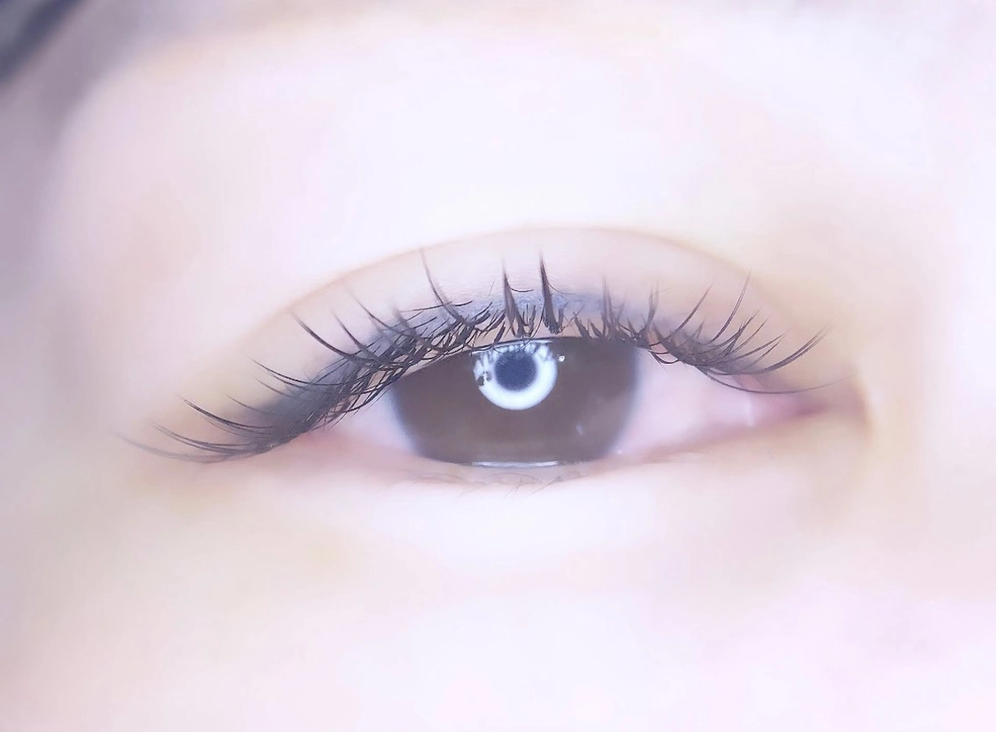 マツエク・マツパ 付け放題 フラットラッシュ マツエク Maaz lash 流山おおたかの森所属・Maaz haruna 🐸のマツエク・マツパデザイン