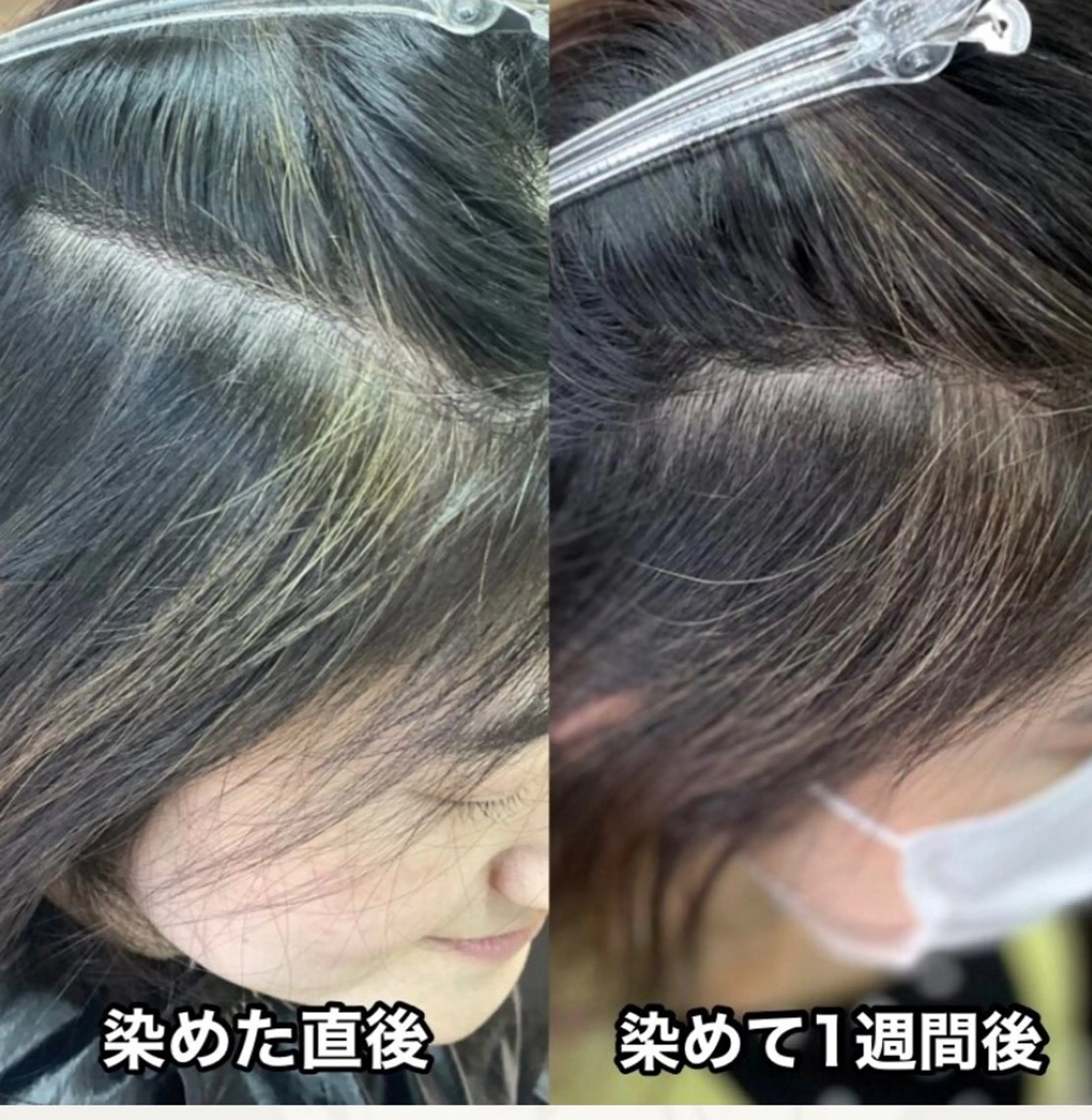 ショート カラー 本田 智美のヘアスタイル