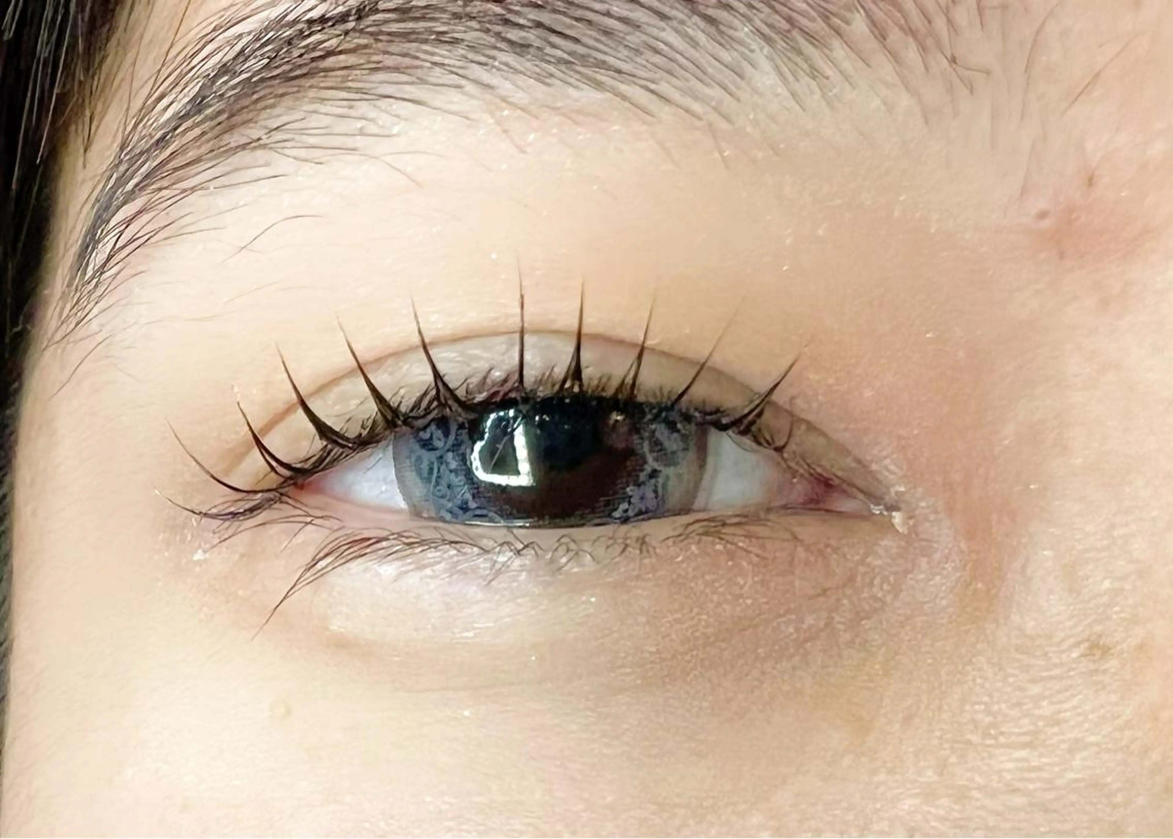 マツエク・マツパ ケラチンラッシュリフト Celeste Venus所属・🧸Celeste Venusのマツエク・マツパデザイン