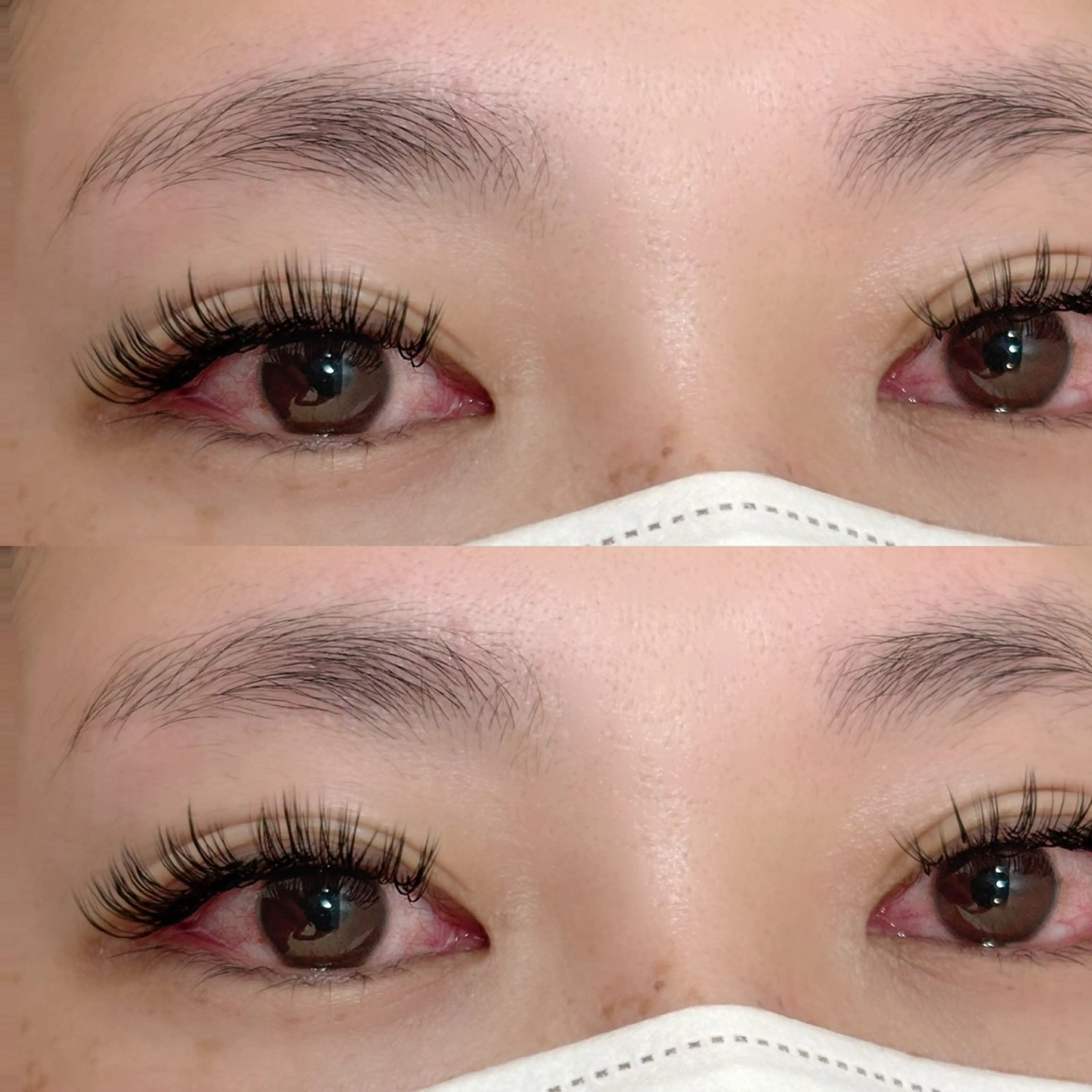 【オフ込】LEDバインドロック80束の写真