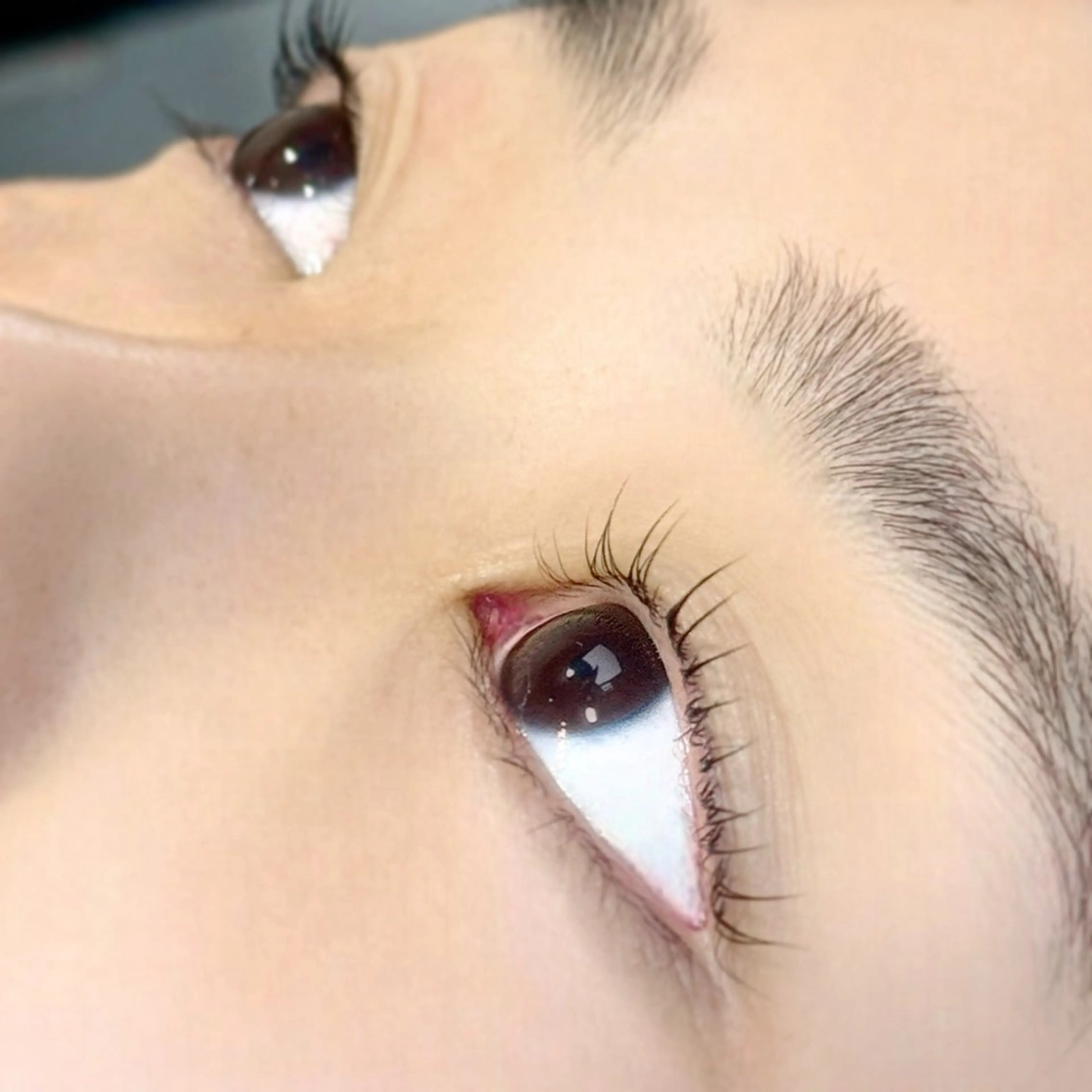 マツエク・マツパ レイヤーカット/艶髪 /髪質改善/のマツエク・マツパデザイン