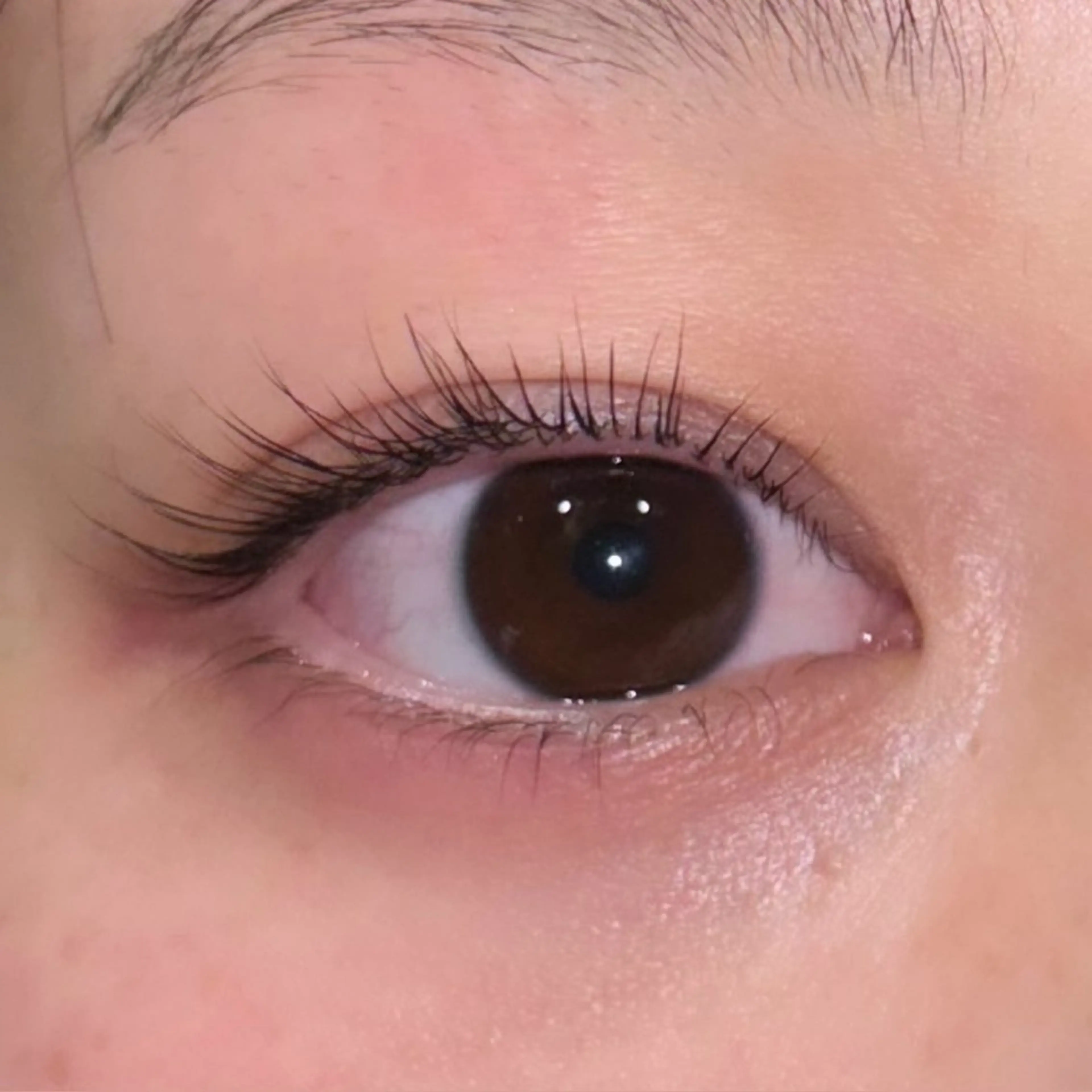 マツエク・マツパ ETERNO小山店 野崎の眉毛・アイブロウイメージ