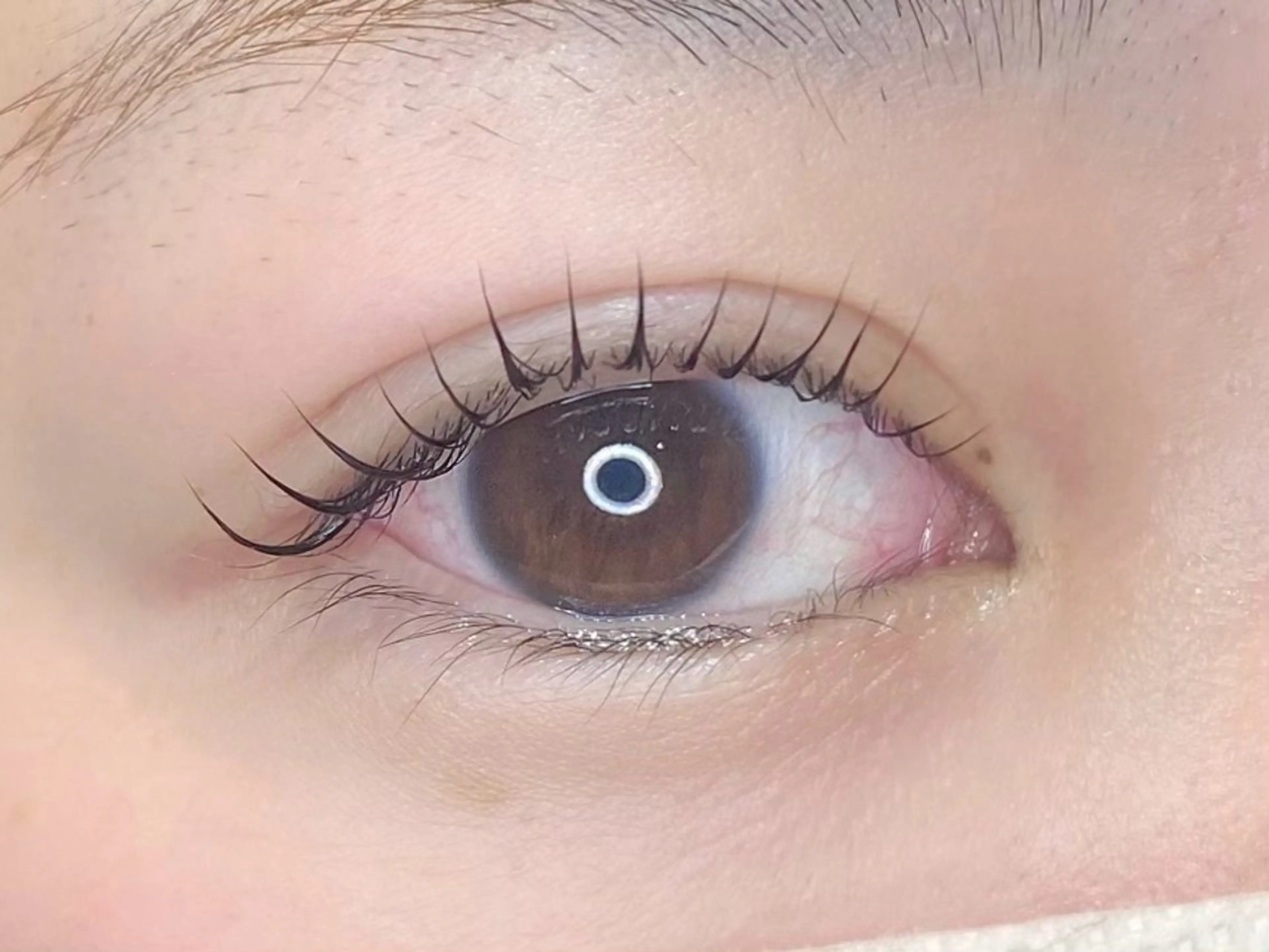 【大人気☆ぱっちりくるん】まつげパーマ＋コーティングの写真