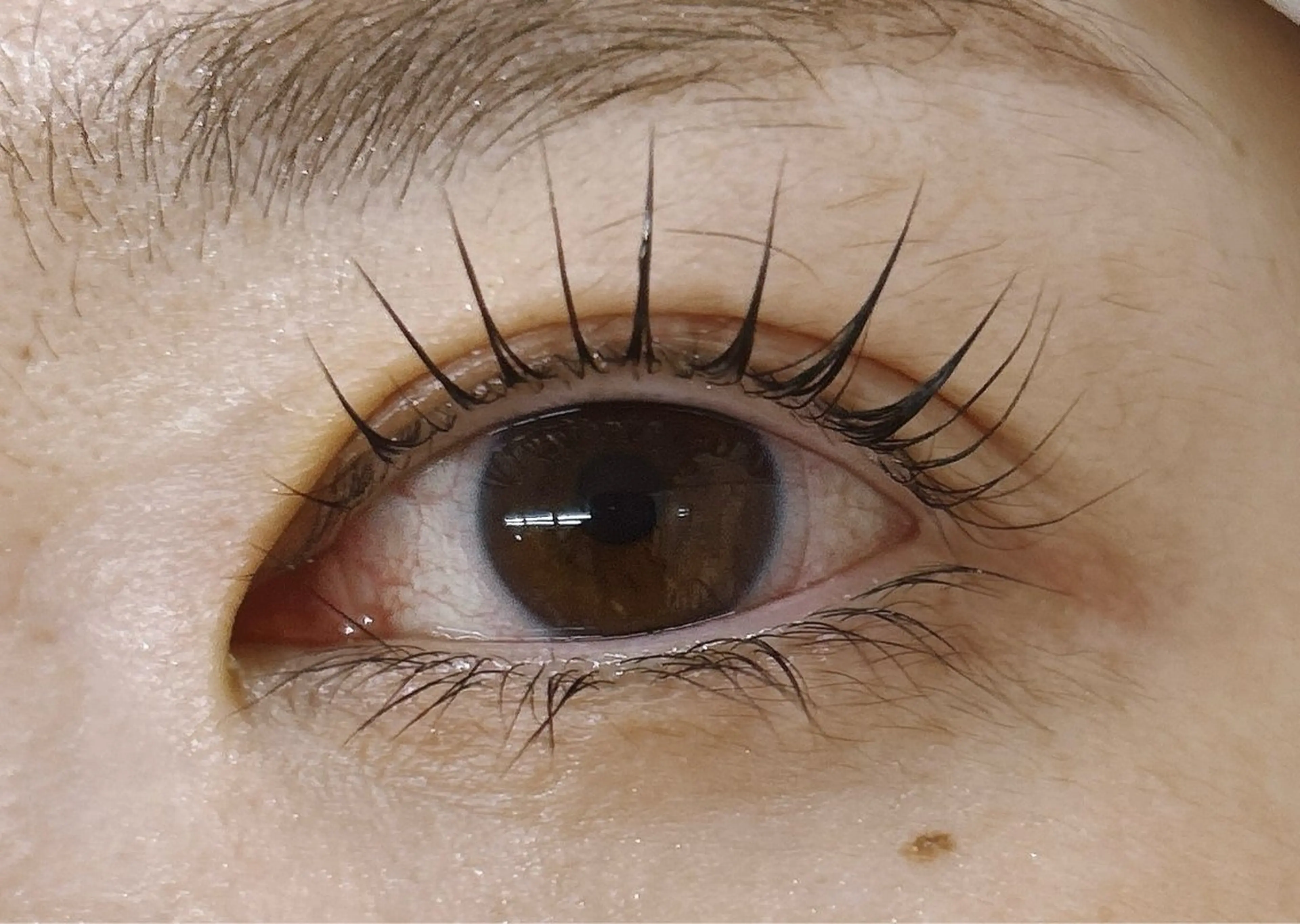 豊富な種類から選べるまつ毛パーマ！の写真