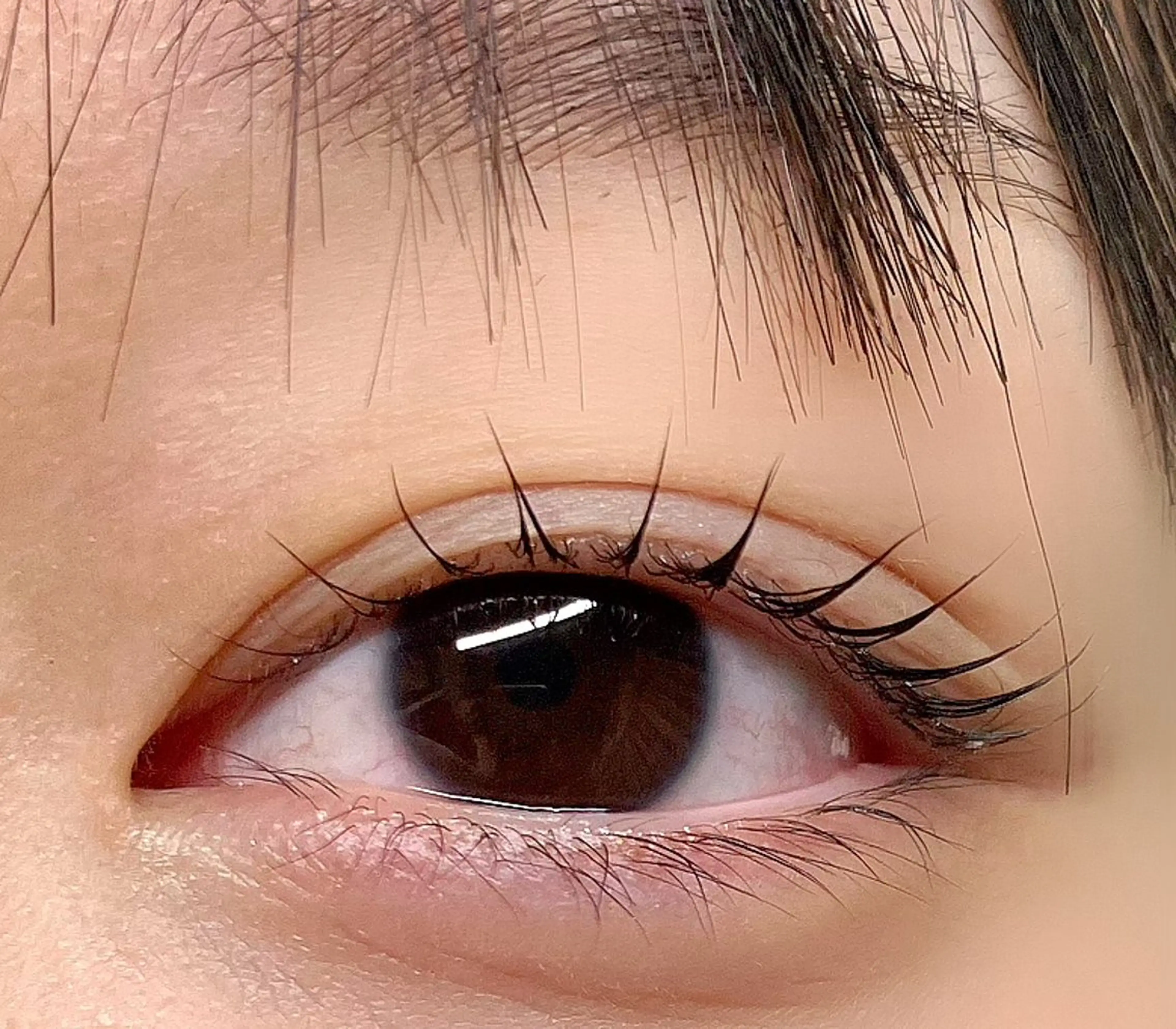 マツエク・マツパ マツパ 💙🐈 ayaのマツエク・マツパデザイン