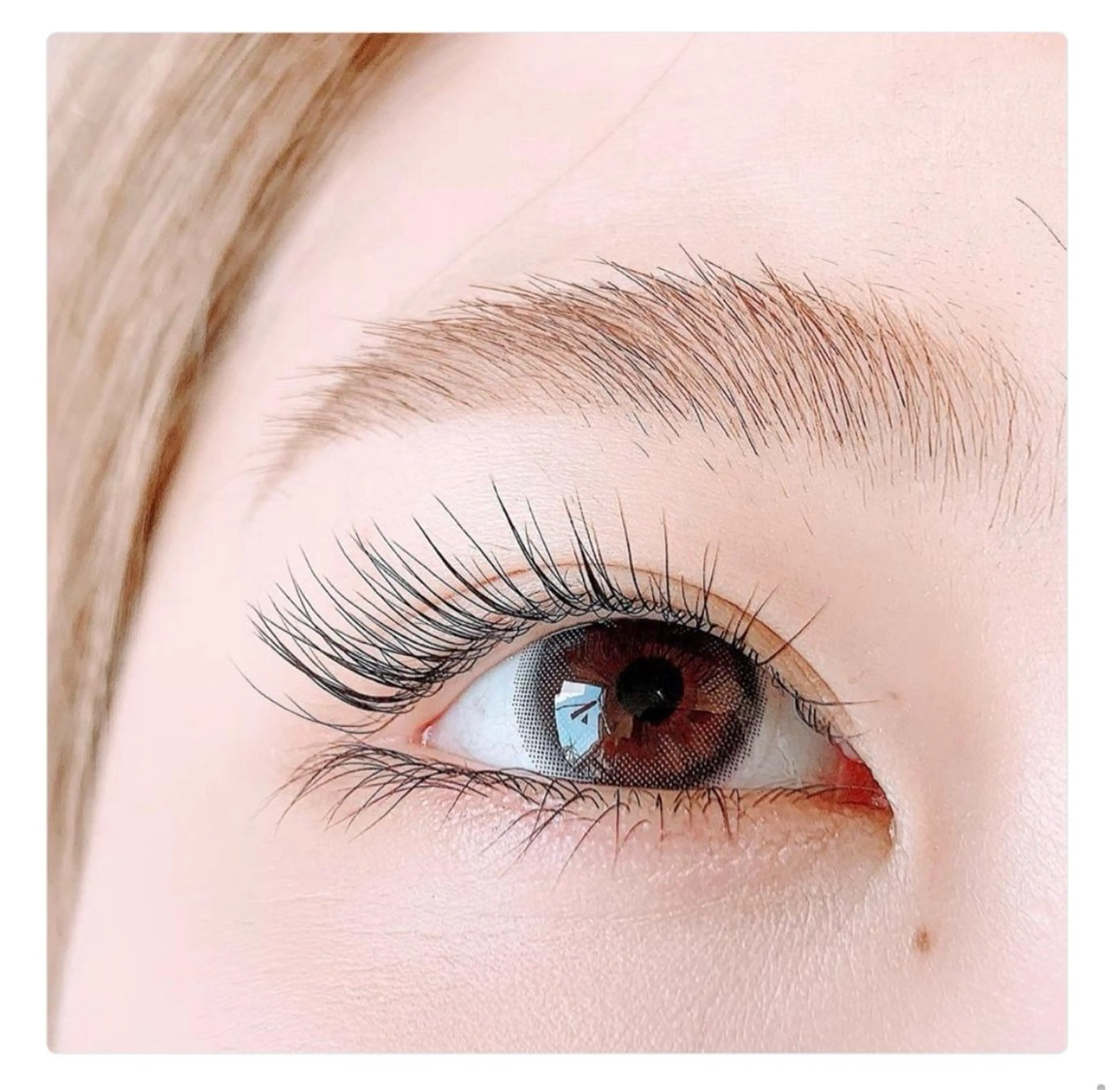 マツエク・マツパ DL BEAUTY / YUN 🎀のマツエク・マツパデザイン