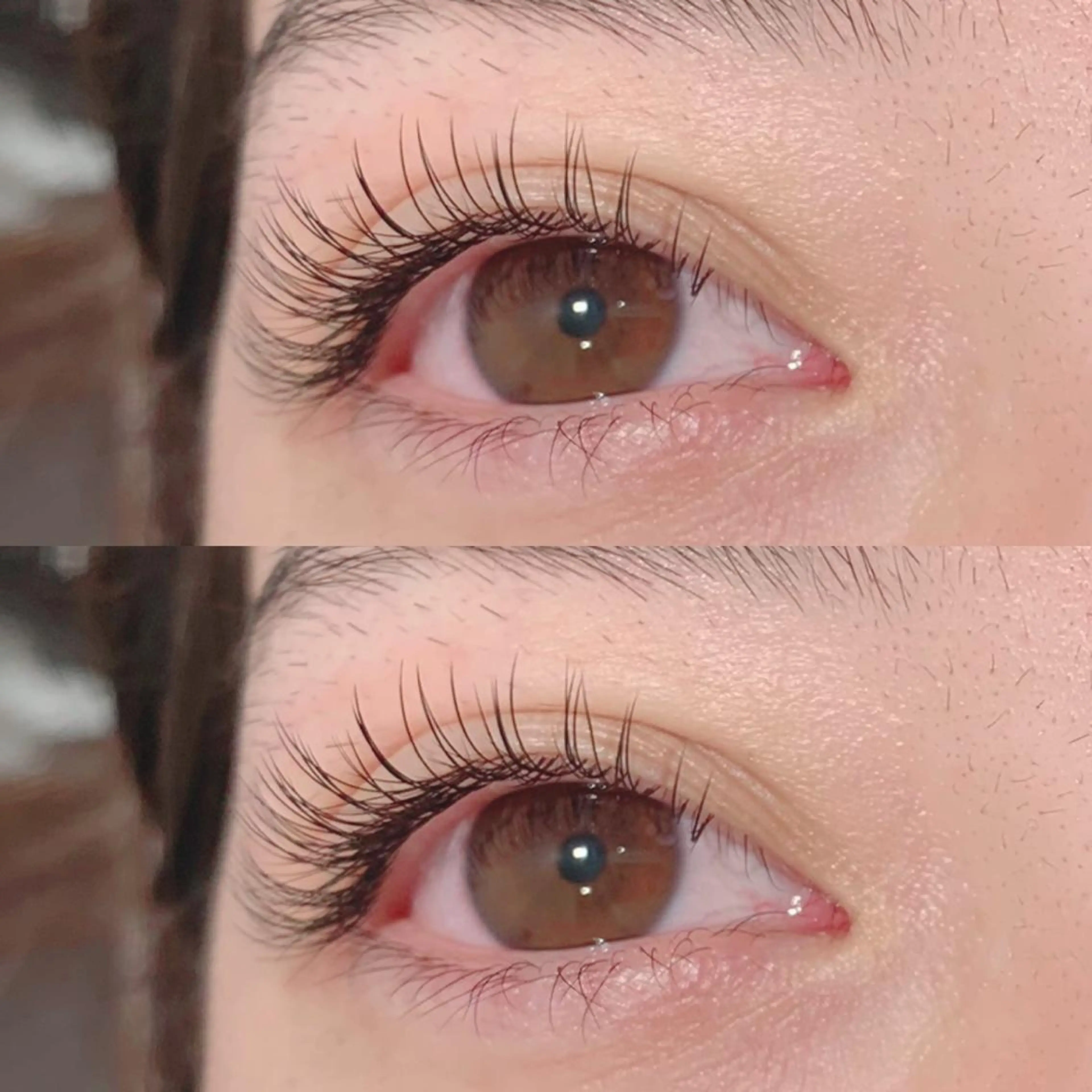 新導入！オフ込みLEDフラットラッシュ120本🌥️の写真