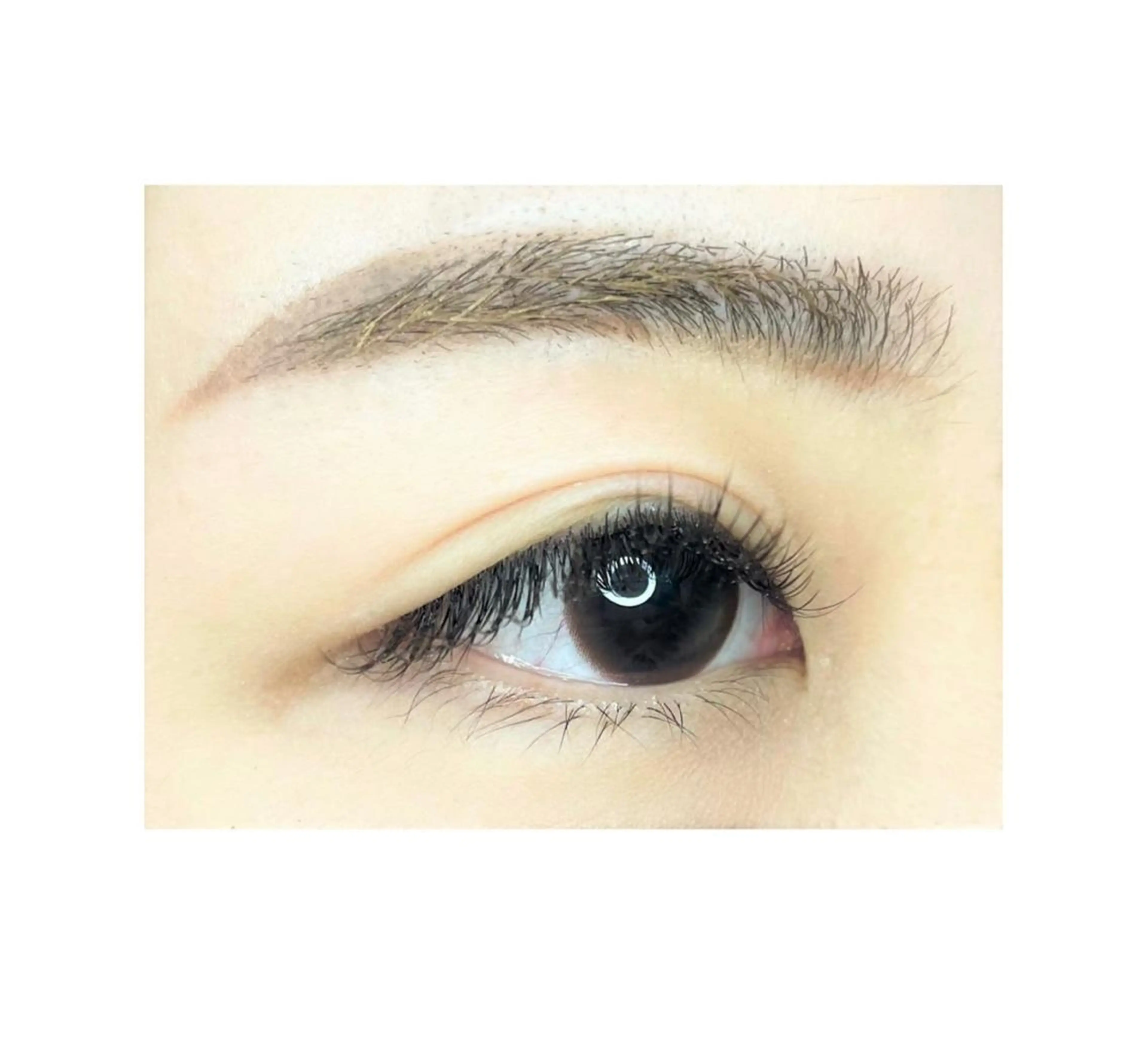 Nail＆Eyelash大阪梅田 MAXKELLY所属・マックスケリー 荒冷のマツエク・マツパデザイン