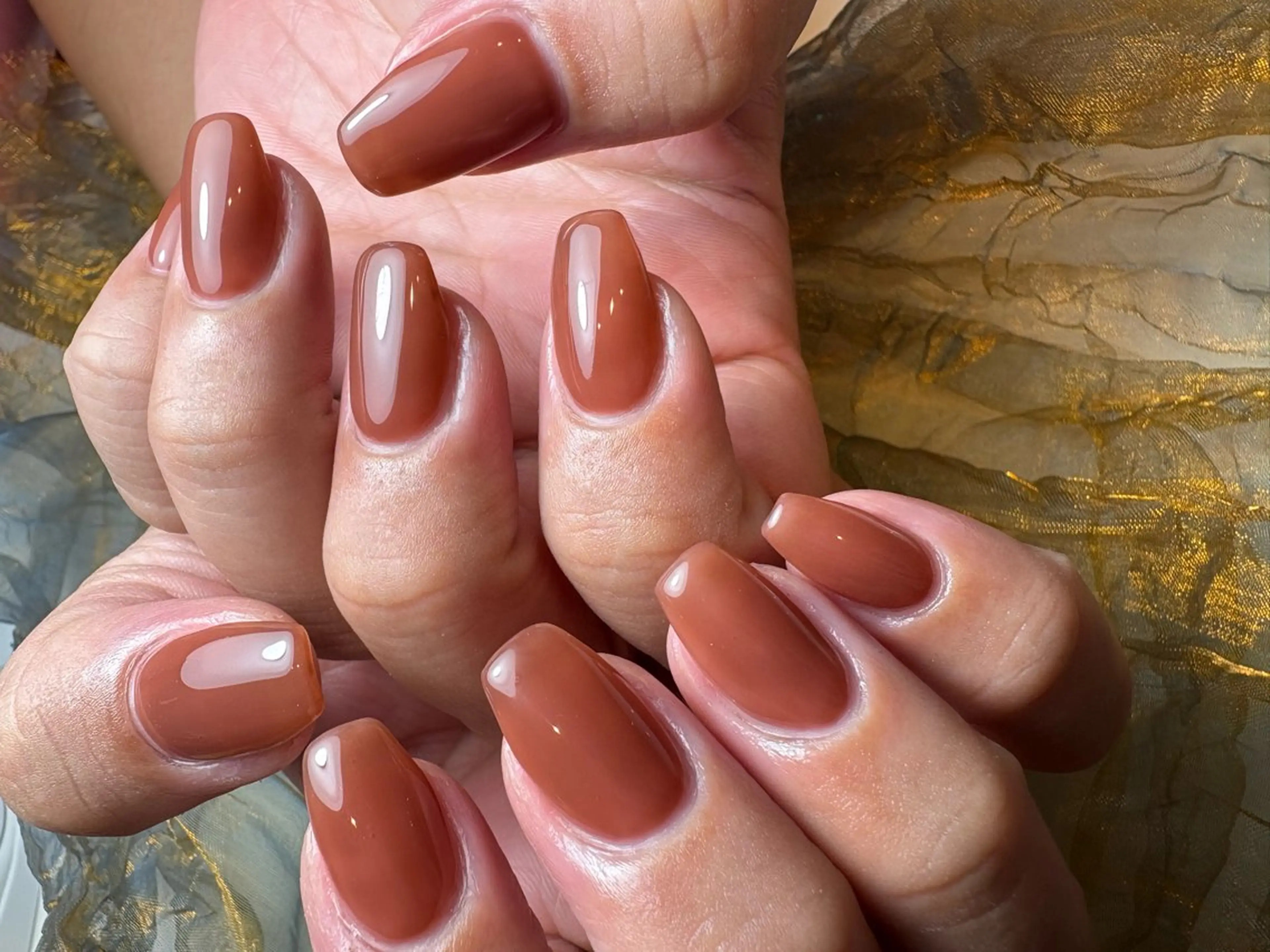 ワンカラーの写真